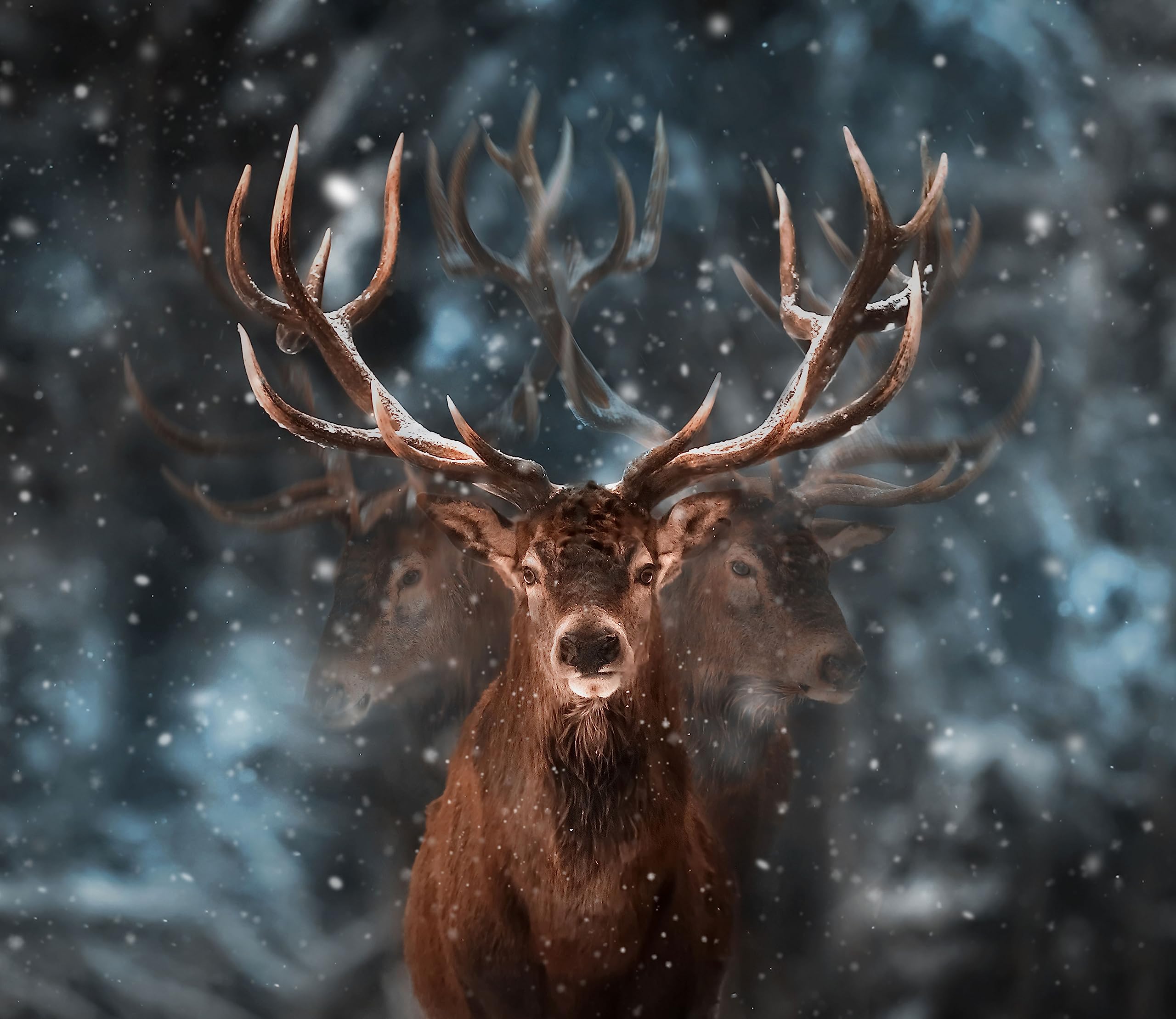 Machtvoller Hirsch im Winterwald Herdabdeckplatte & Spritzschutz aus Echtglas | Für Herd-Kochfelder | 60x52 cm