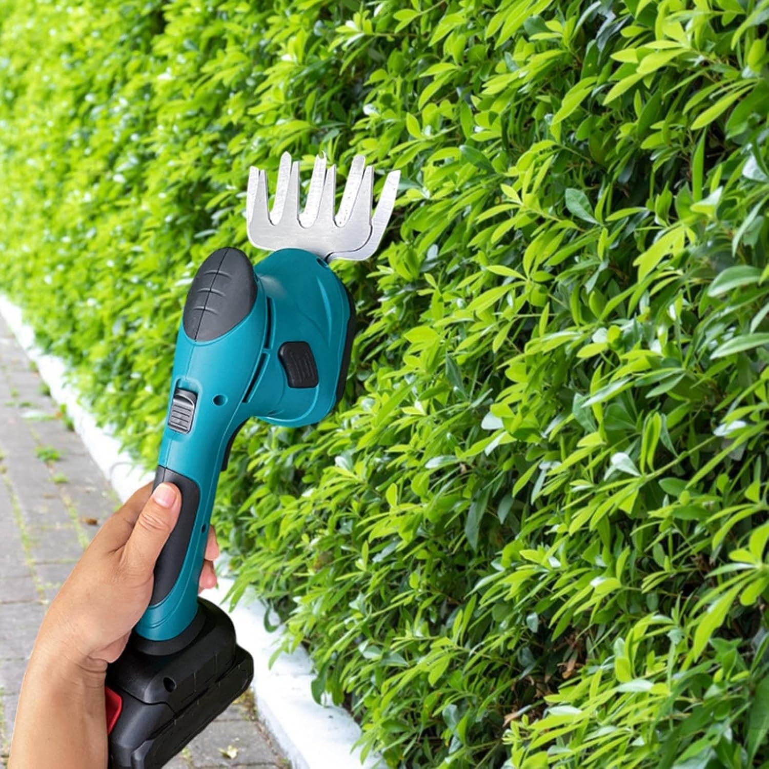 Grass Shear for Yard and Garden Maintenance