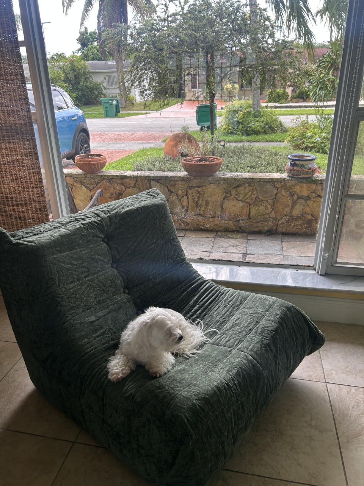 Customer photo
