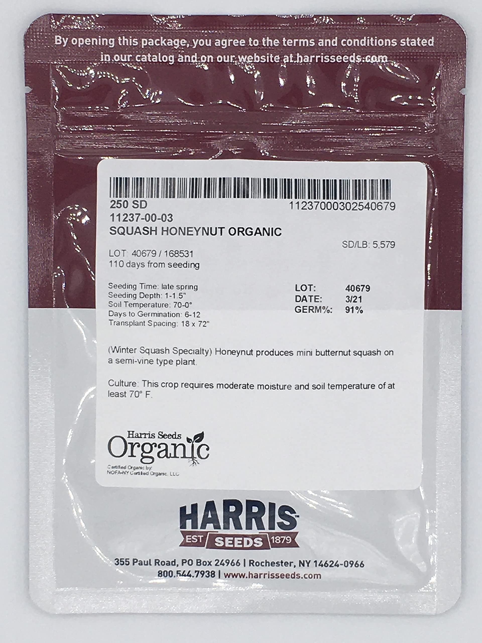 Amazon.com : Honeynut Squash Seeds - Grow from The Same Seeds As Farmers -  Packaged and Sold by Harris Seeds / Garden Trend - Harris Seeds: Supplying  Growers Since 1879 - USDA