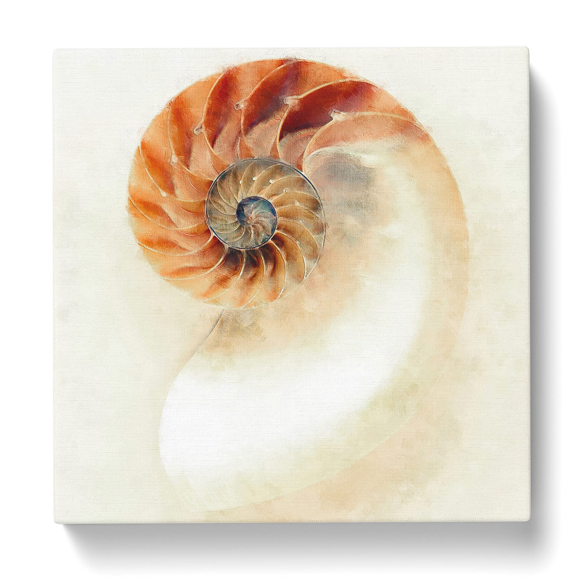 Mother Of Pearl Shell Canvas Print, Mixed, 35L x 35W cm - Image 3