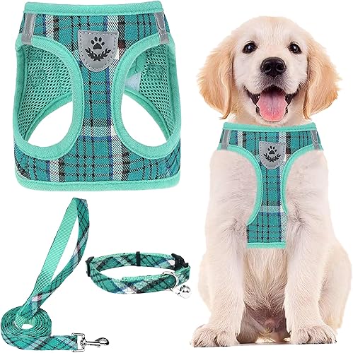 PUPTECK - Arnés y correa ajustable, sin tirones, para perro pequeño y mediano, cachorro y gatos, adiestramiento y paseo al aire libre, chaleco