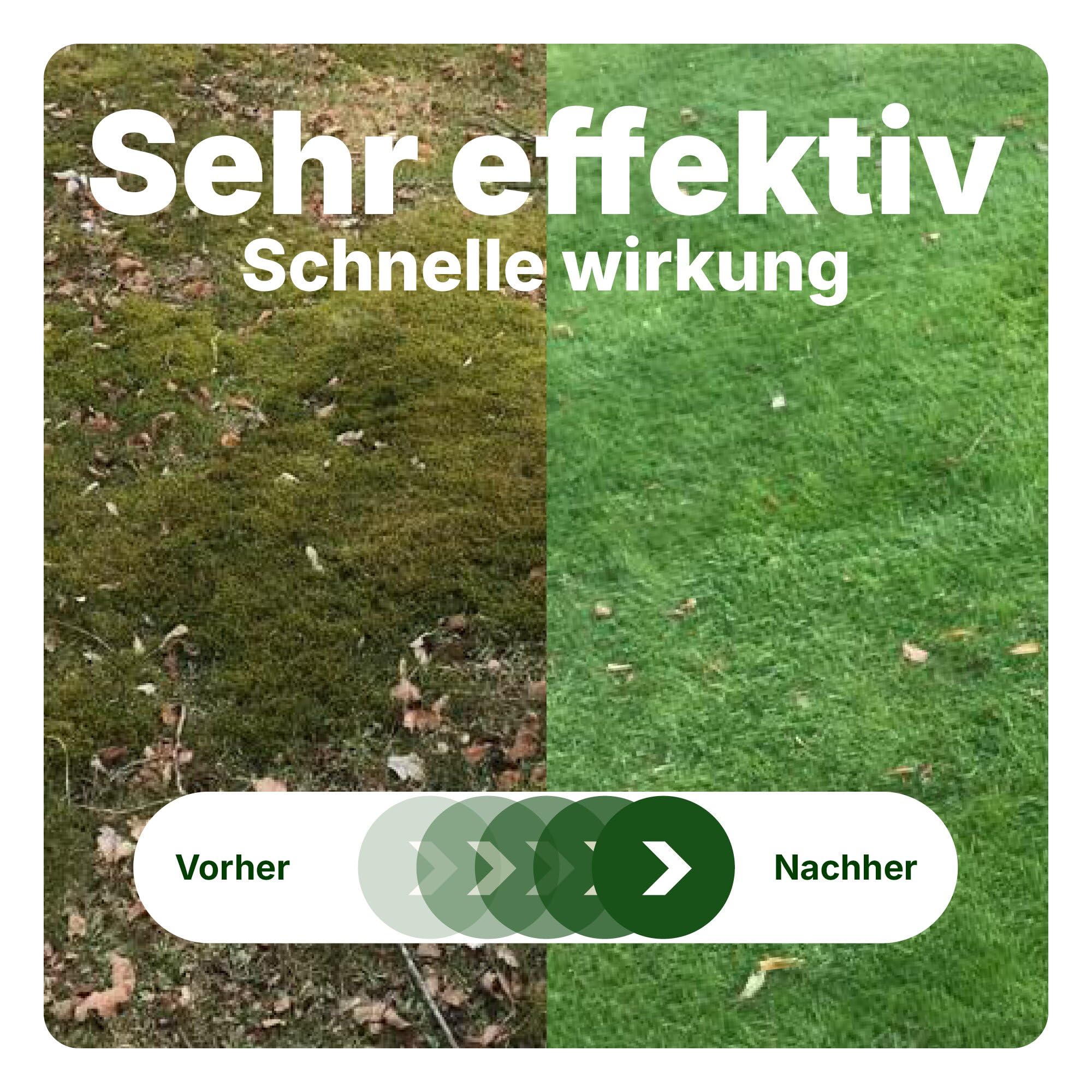 GreenMaster Premium Rasensamen 7,5 kg | Für Nachsaat & Neuanlage | Dichter, strapazierfähiger Rasen | Schnelles & kräftiges Wachstum | Profi-Qualität für größere Flächen