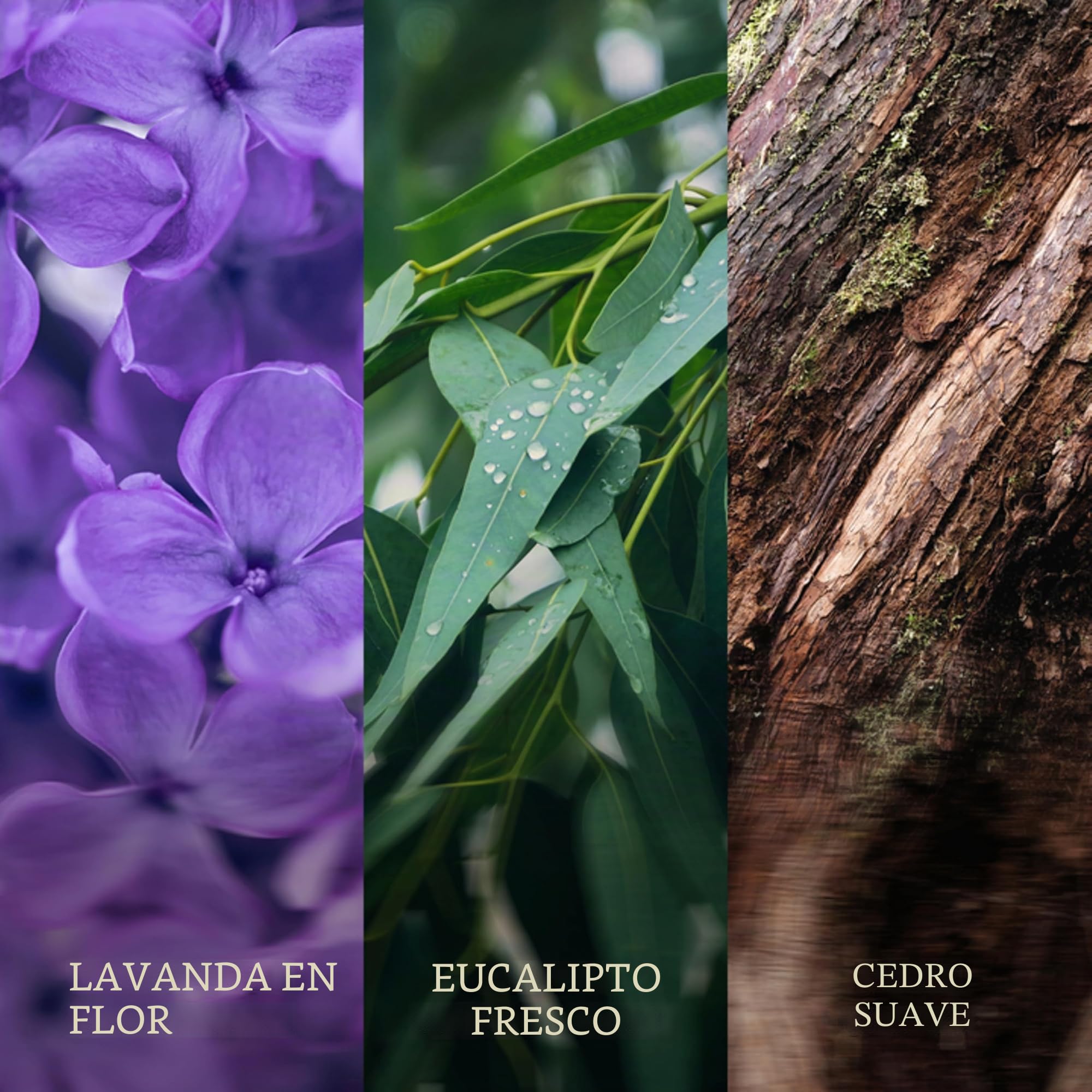 WoodWick Ellipse Vela perfumada con mecha crepitante | Lavender Spa | Hasta 50 horas de duración | Regalos para mujeres
