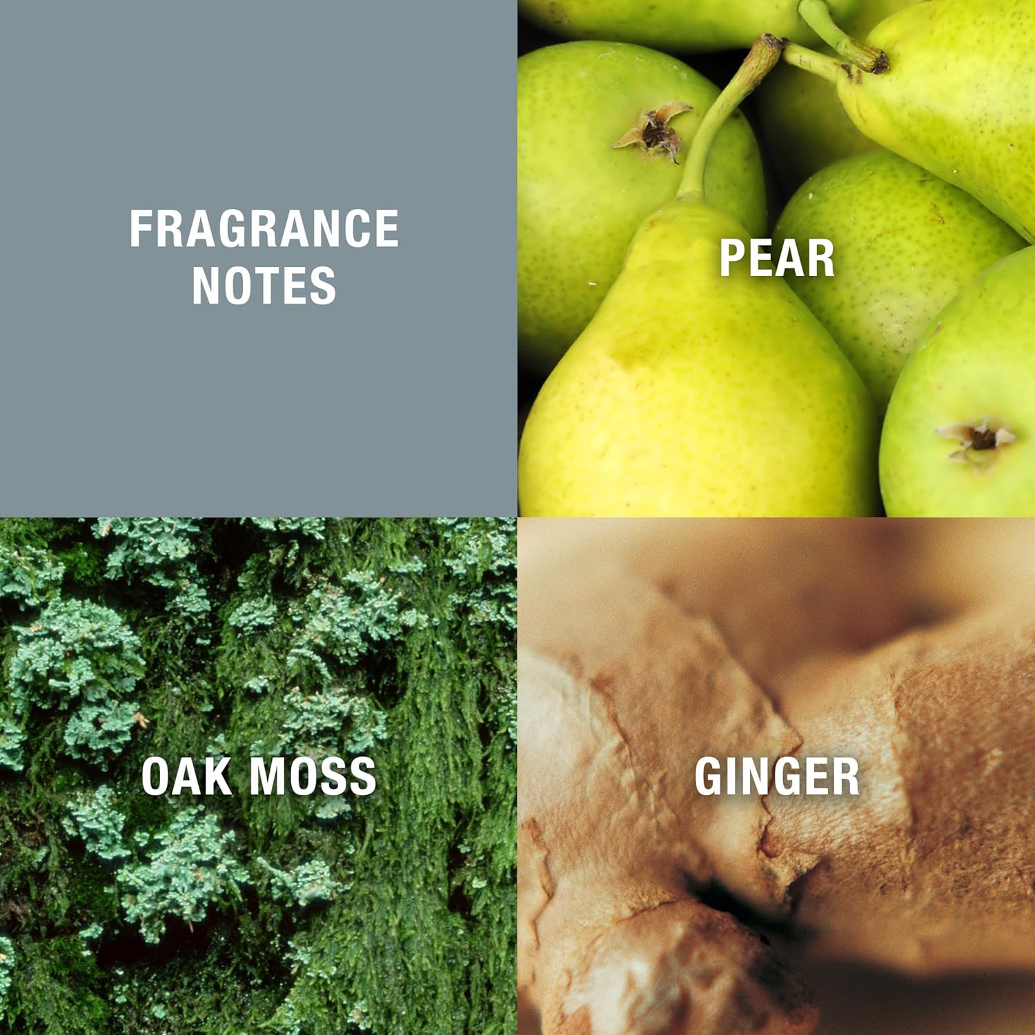 Curve Men's Cologne Fragrance Spray, Casual Day or Night Scent, Curve Crush, 2.5 Fl Oz - Image 2