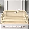 Product Photo 8