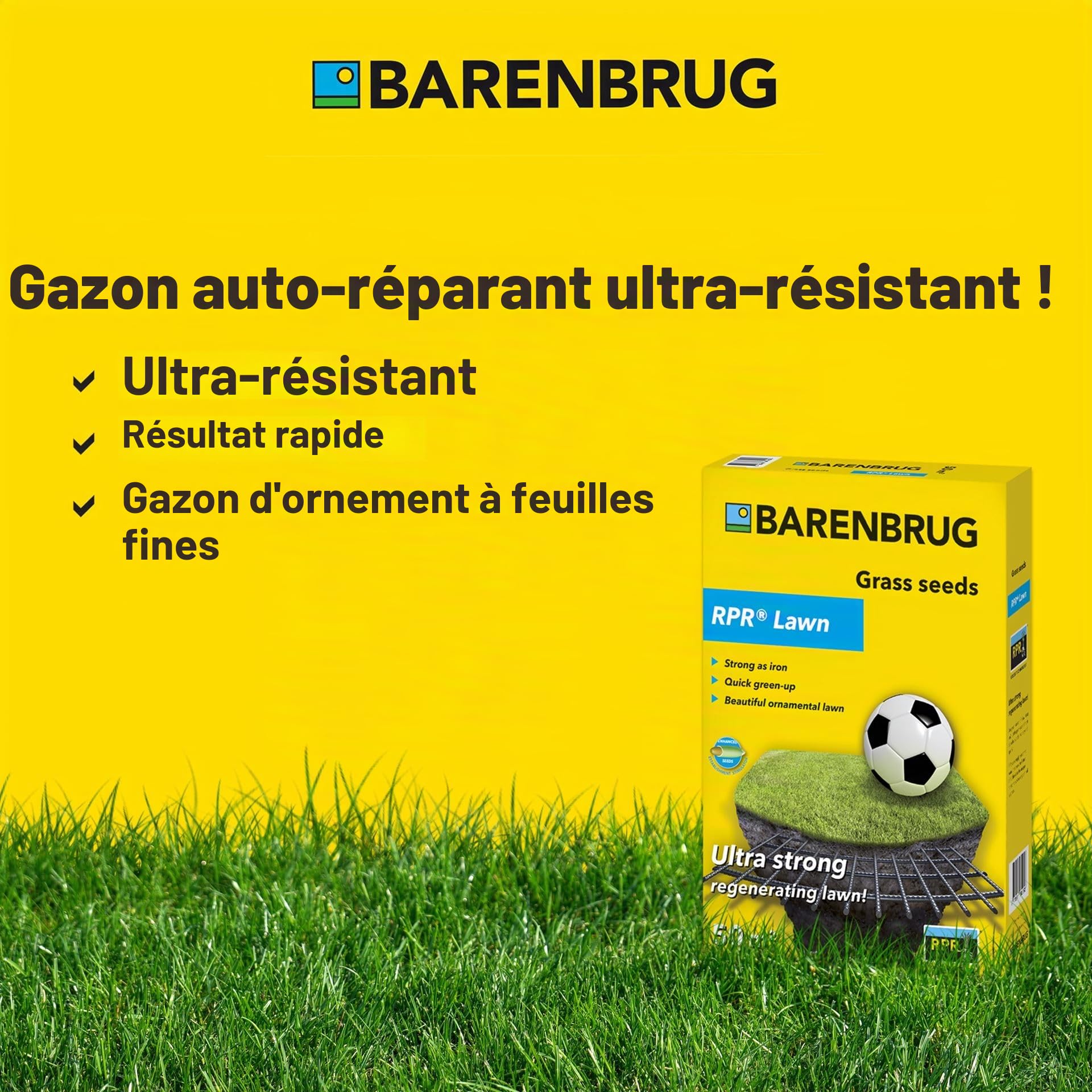 Herbe d'été Barenbrug auto-épaississant RPR Pelouse Sport Play & Sport 15kg