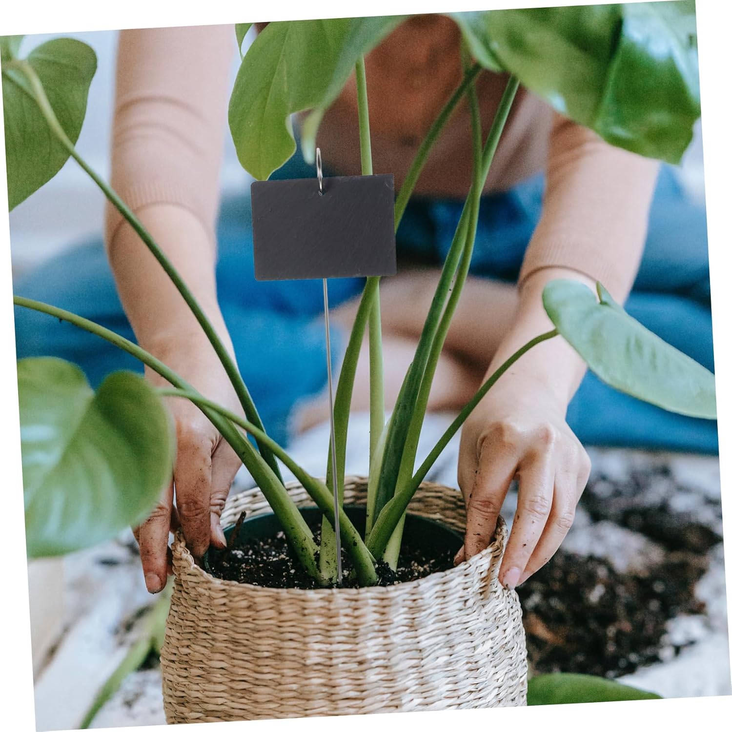 SUPVOX 1set Garden Plant Tags Design for Potted Plants Greenhouses and Nurseries Includes Markers Rods Pens