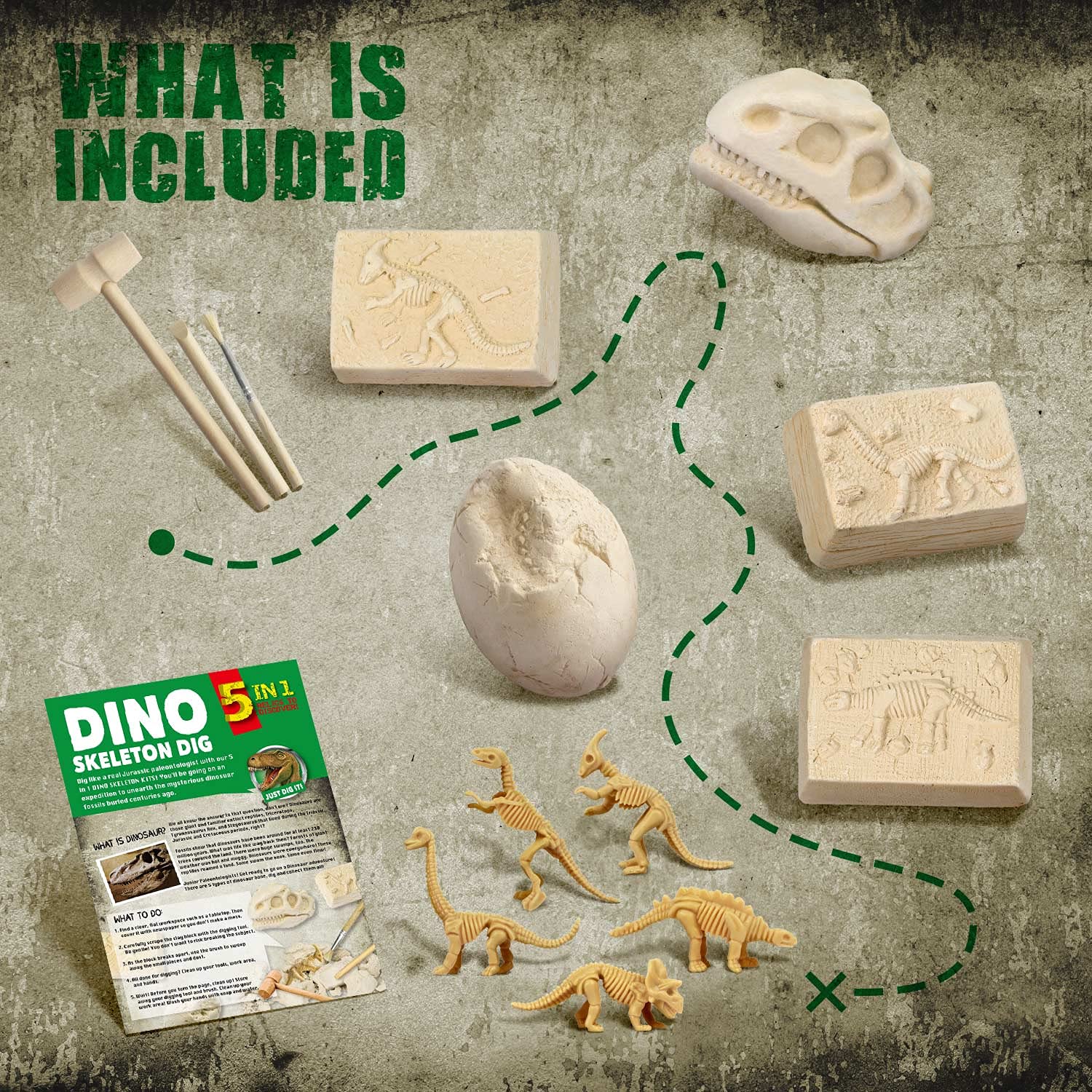 EDUMAN 5-in-1 Dinosaur Digging Kit for Kids Excavate 5 Dino Skeletons with Tools, STEM Archeology Toys for Boys and Girls Ages 6 7 8 9 10 11 12, Educational Fossil Excavation Kit Gift - Image 3