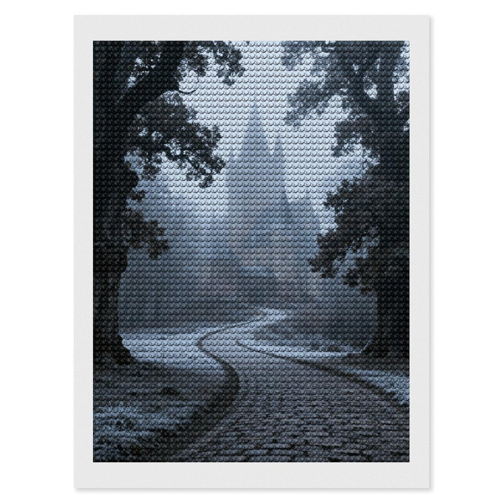 DWVTSLH Castle Pathway Woods Diamond Painting Kits for Adults, Personalized Diamond Photo Art Full Drill, DIY 5D Diamond Art Painting Kits for Beginners, Home Wall Decor 12"x16"