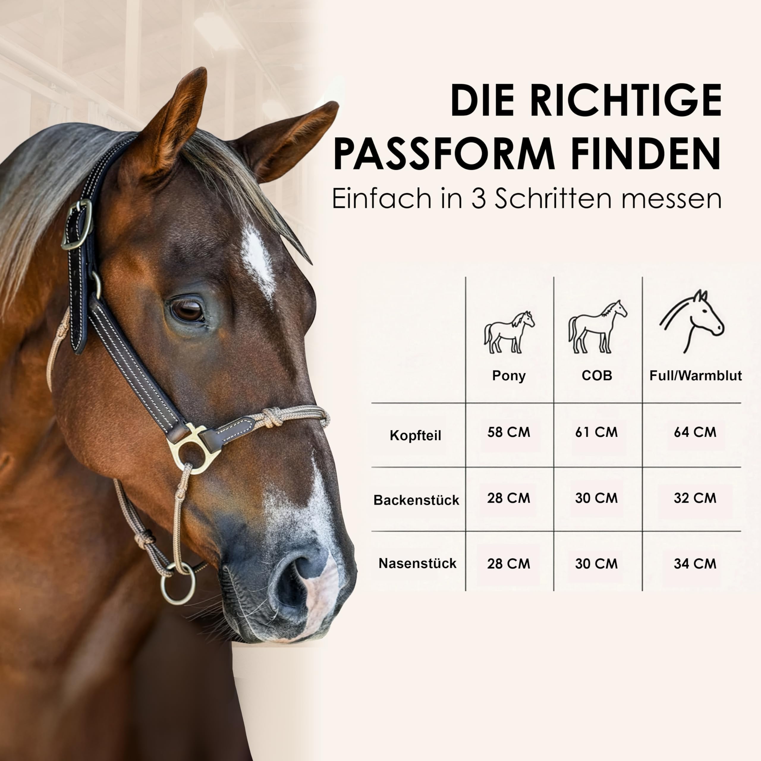 Halfter für Pferde aus Leder – hochwertiges Pferdehalfter für Bodenarbeit & Training – mit Rope-Nasenstück & Metallbeschlägen – Halfter Pony, COB, Full – Schwarz/Beige (Edelstahl, Pony)