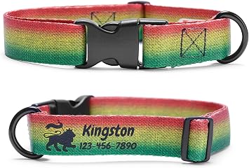 Reggae Rasta Dog Collar Personalized X-Small 5/8