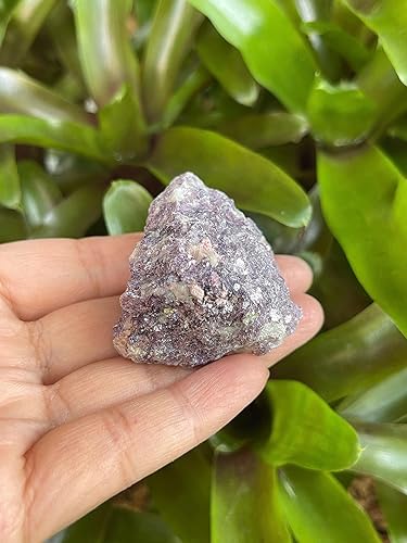 Vista 268 de GAF TREASURES Cristales de rosa del desierto crudos al por mayor, piedra natural de rosa del desierto, cristales naturales de rosa del desierto