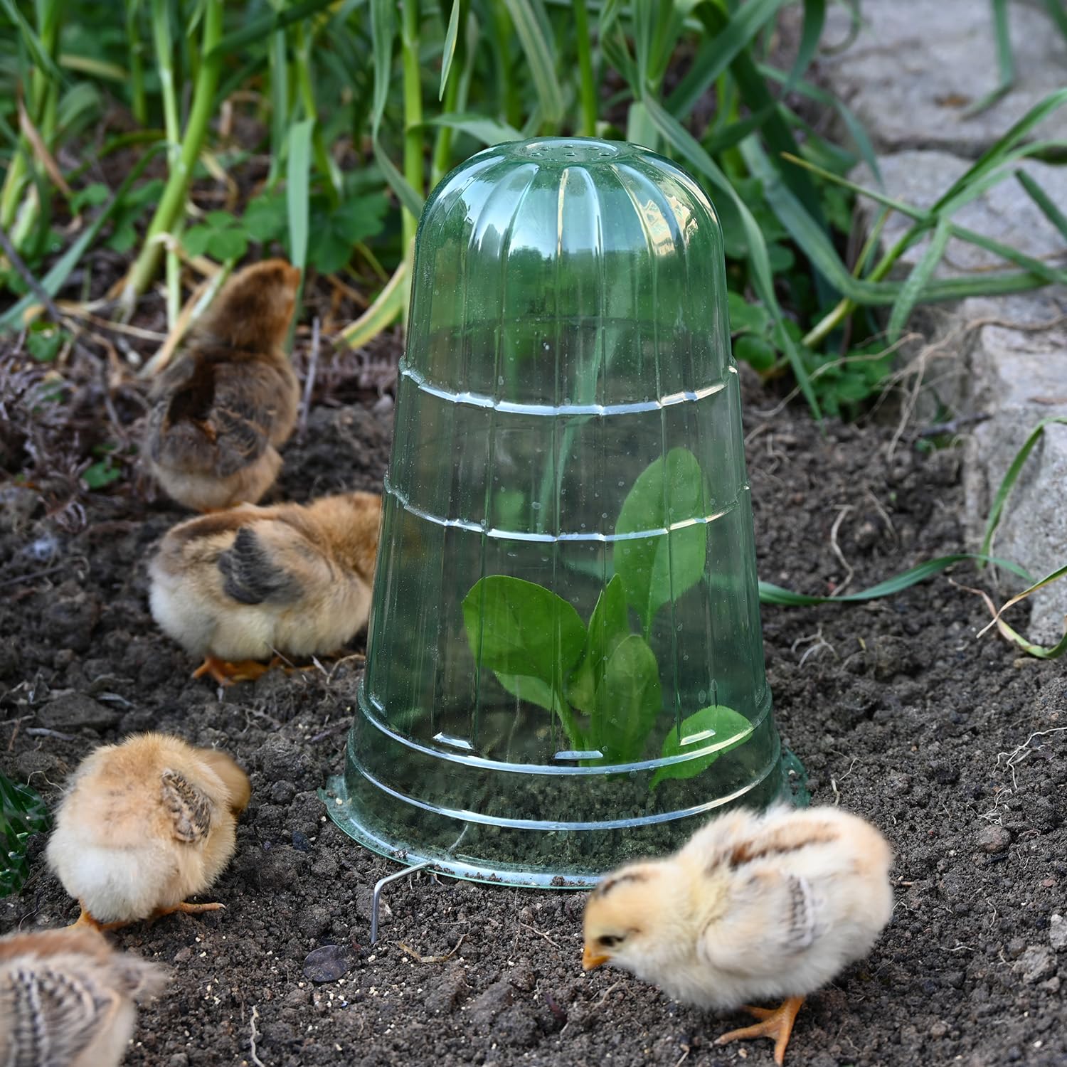 Paquete de 20 campanas de jardín para plantas, protector de plantas de campana reutilizable, protección de jardín contra animales, caracoles, pájaros, pollos, insectos, 9.84 pulgadas de alto x 7.3