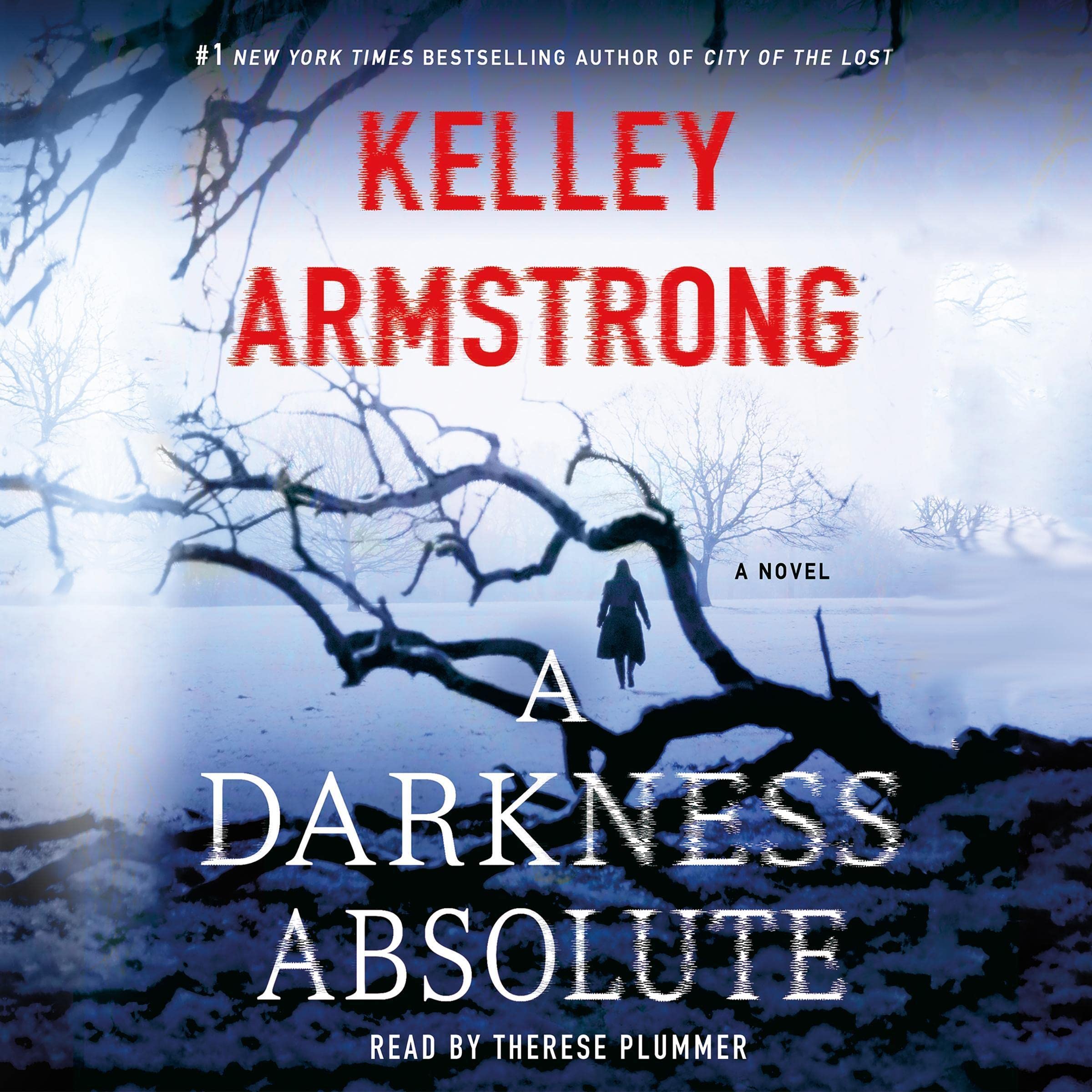 Cover art for A Darkness Absolute