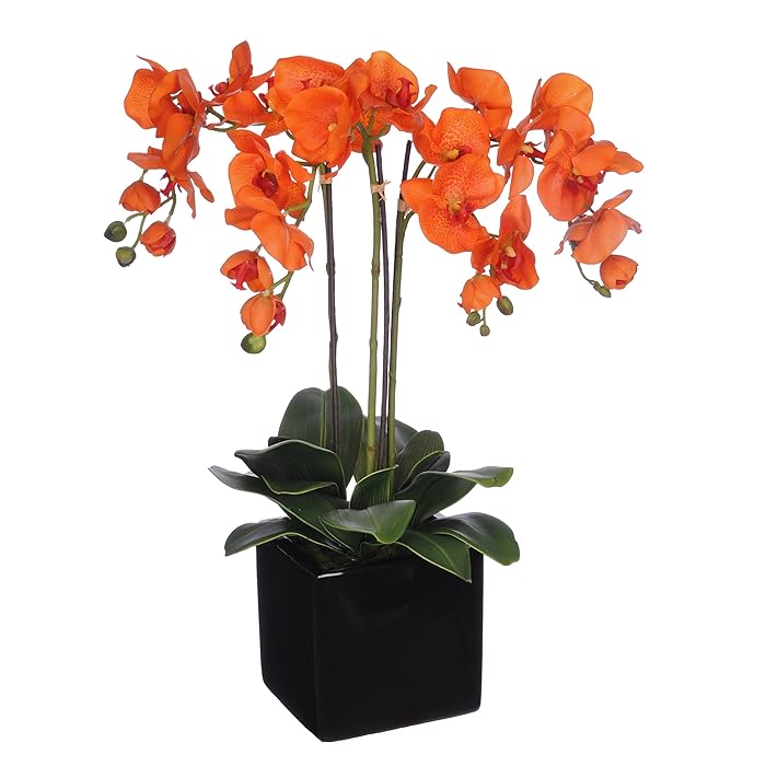 Buy House of Silk Flowers Artificial TripleStem Phalaenopsis Orchid Arrangement, Paprika Orange