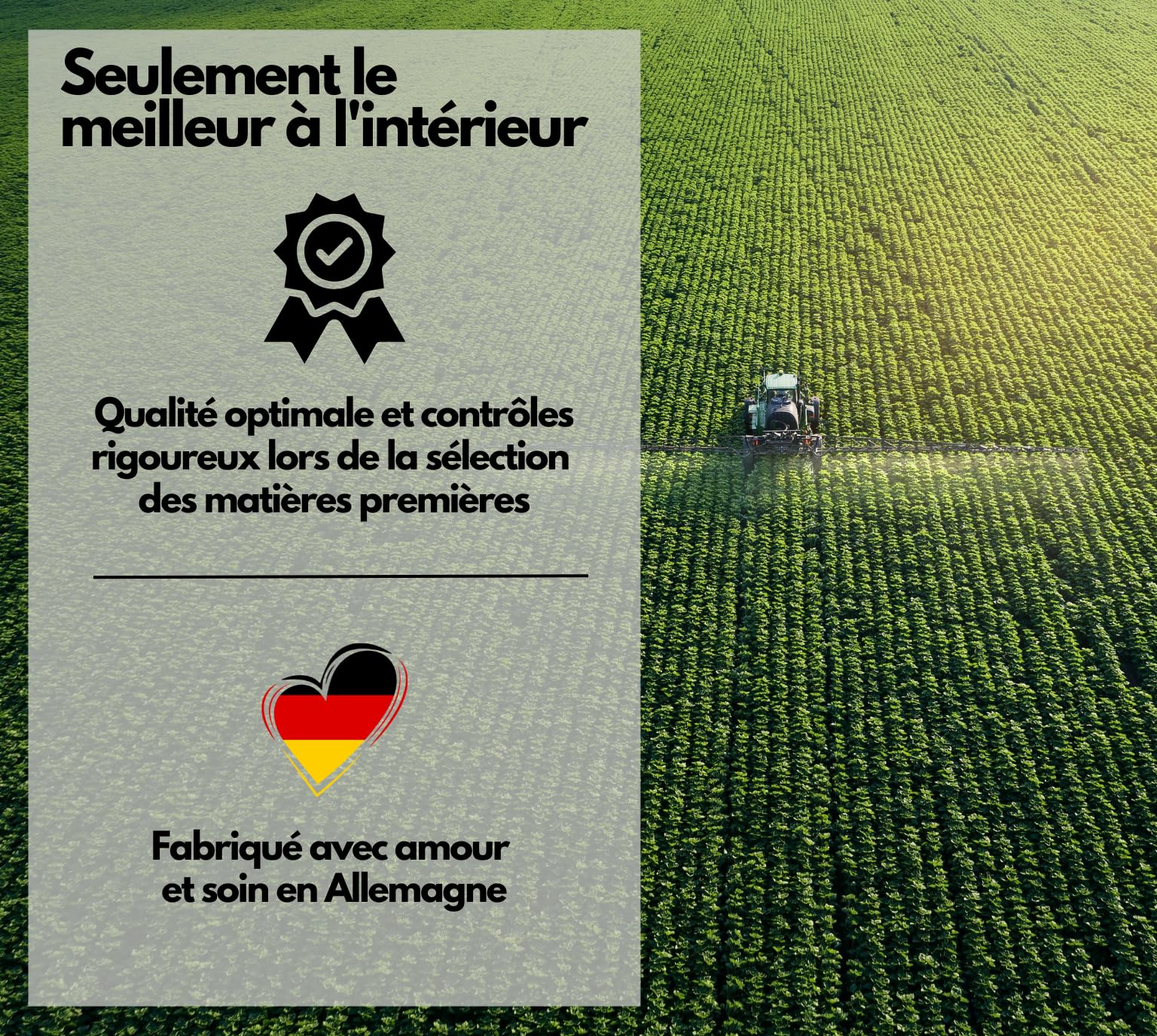 EXVital® NAD+, 1000 mg de NAD+ et 600 mg de trans-resvératrol par jour - 120 gélules végétaliennes - liposomales et biodisponibilité maximale, hautement dosées et testées en laboratoire