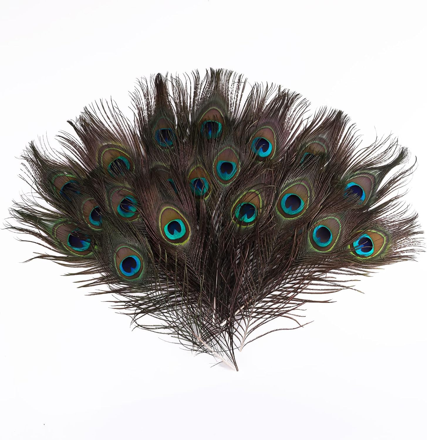 Peacock Feathers 20 Pcs, Peacock Feathers Long 2330cm, Soft Pheasant