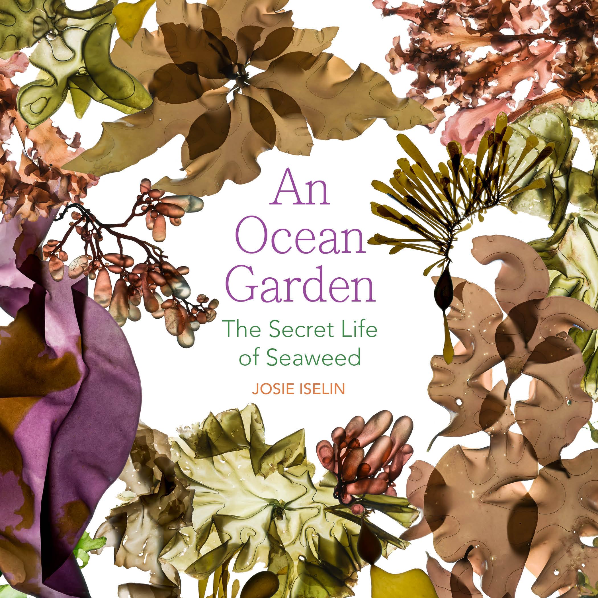 The secret life of seaweed pour comprendre l'écosystème
