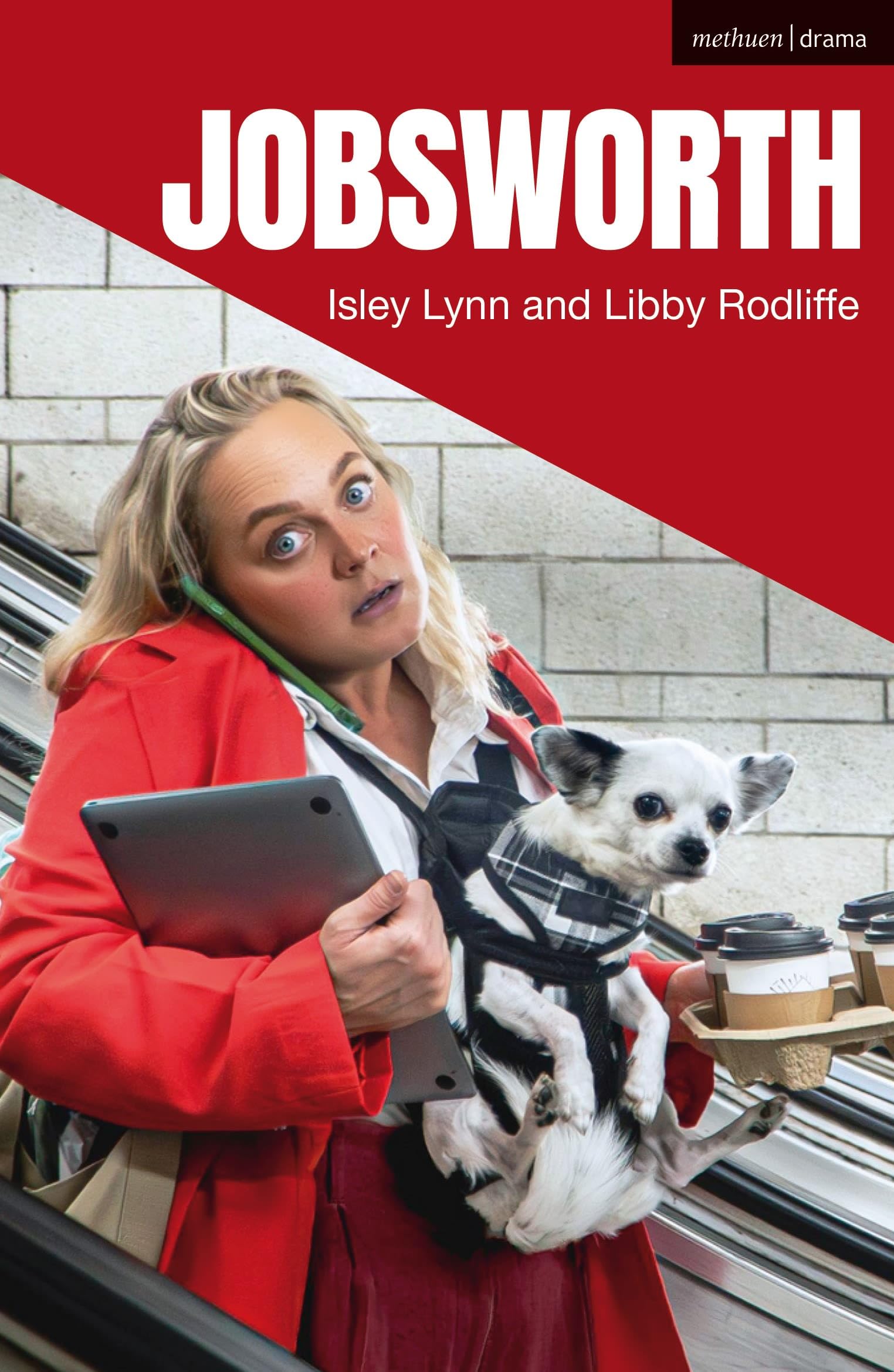 Jobsworth by Isley Lynn PAPERBACK 9781350530331