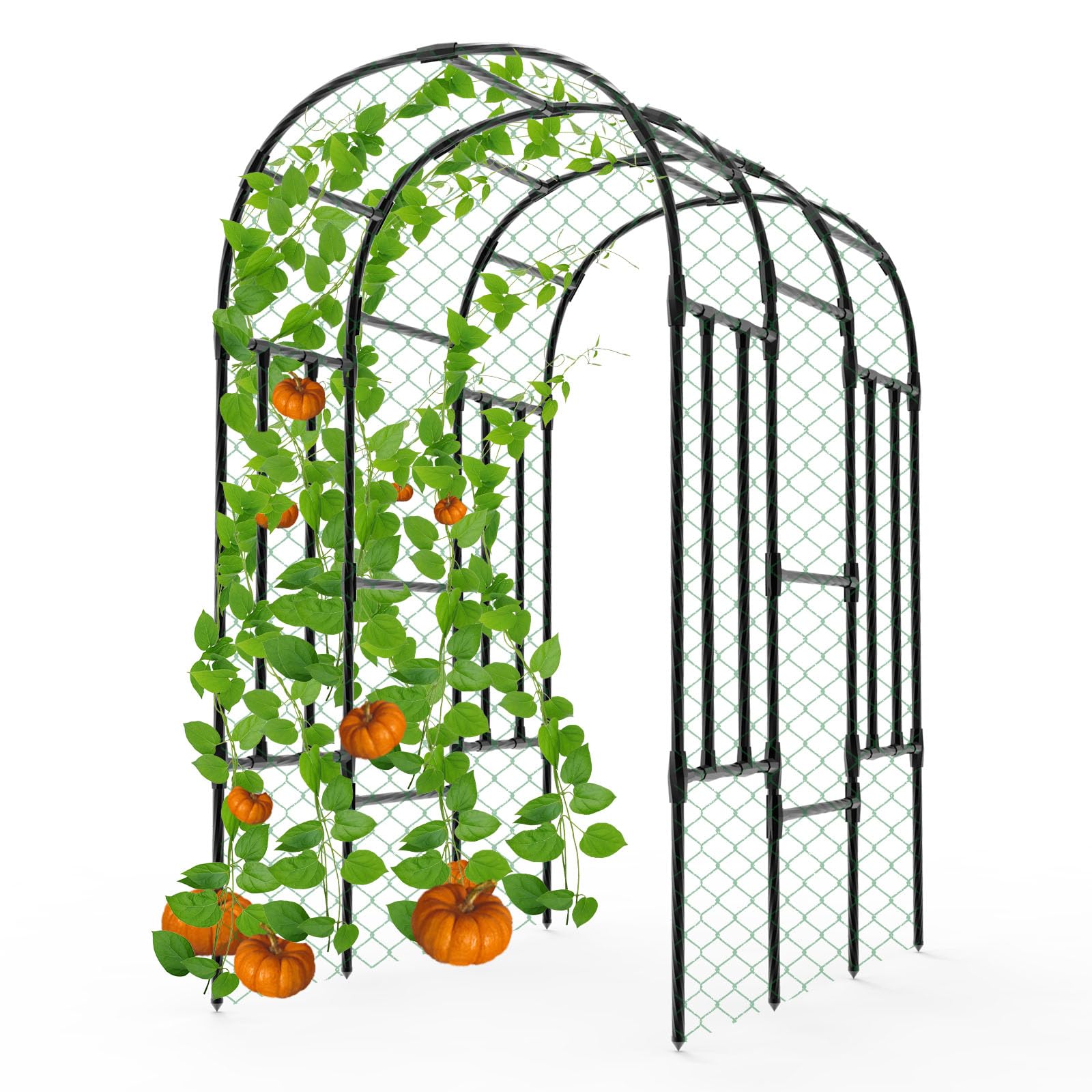 Trellume Tunnel Trellis