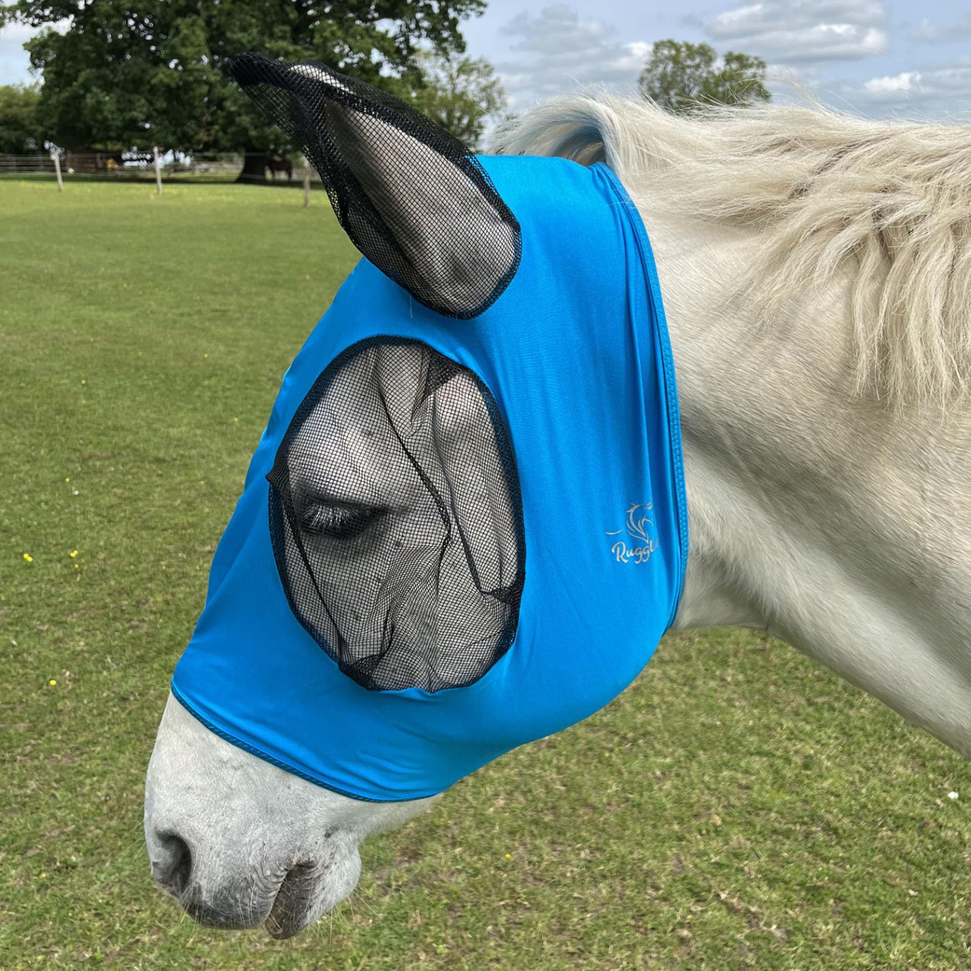 Ruggles Pull On Lycra Fly Mask for Horse And Pony | Mesh Eyes and Ears | 4 Way Stretch for Ultra Comfort No Buckles or Straps (M, Aqua)