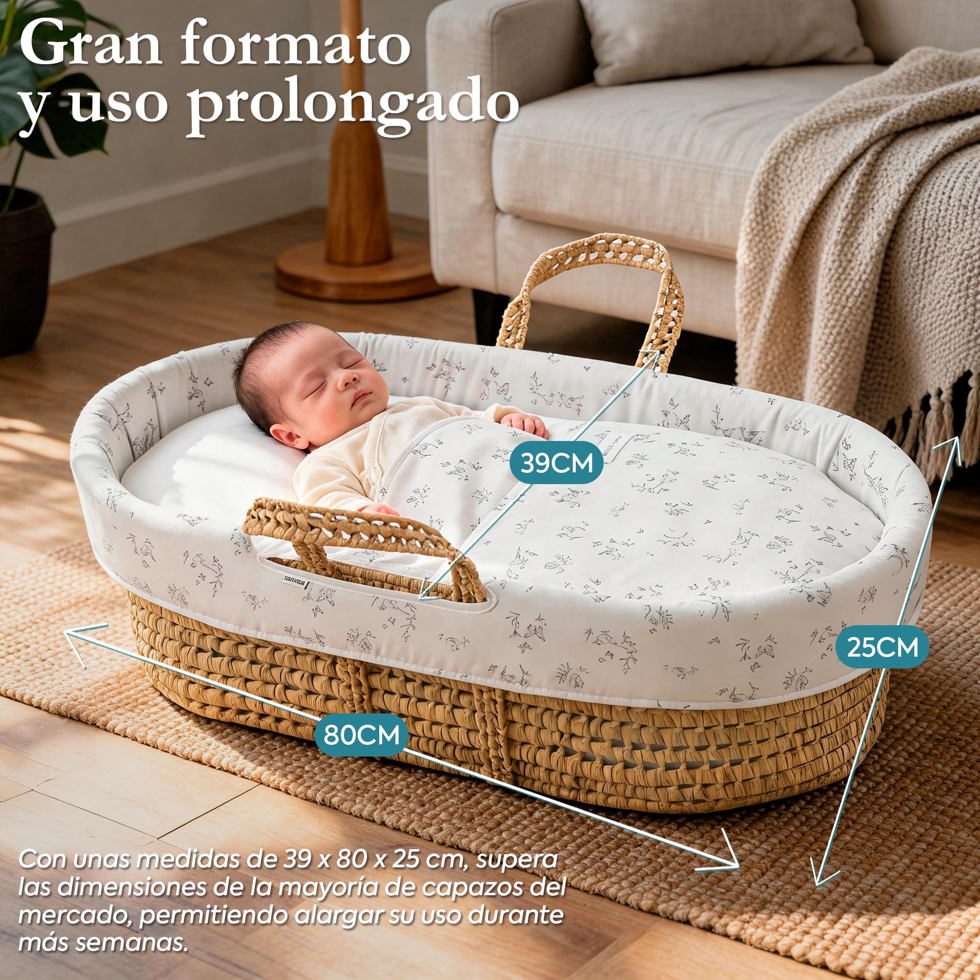 Cambrass Moises de Palma UNE Completo para Bebe Recien Nacido con Vestidura Acolchada y Colchon de Seguridad Higienica en Palma Tratada 39x80x25 CM Ardi Verde.