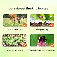 Vista 6 de Outsidepride Semillas de trébol rojo perenne con semilla de trébol carmesí – 10 libras. Semillas de trébol autosembrado, recubiertas nitrográficas