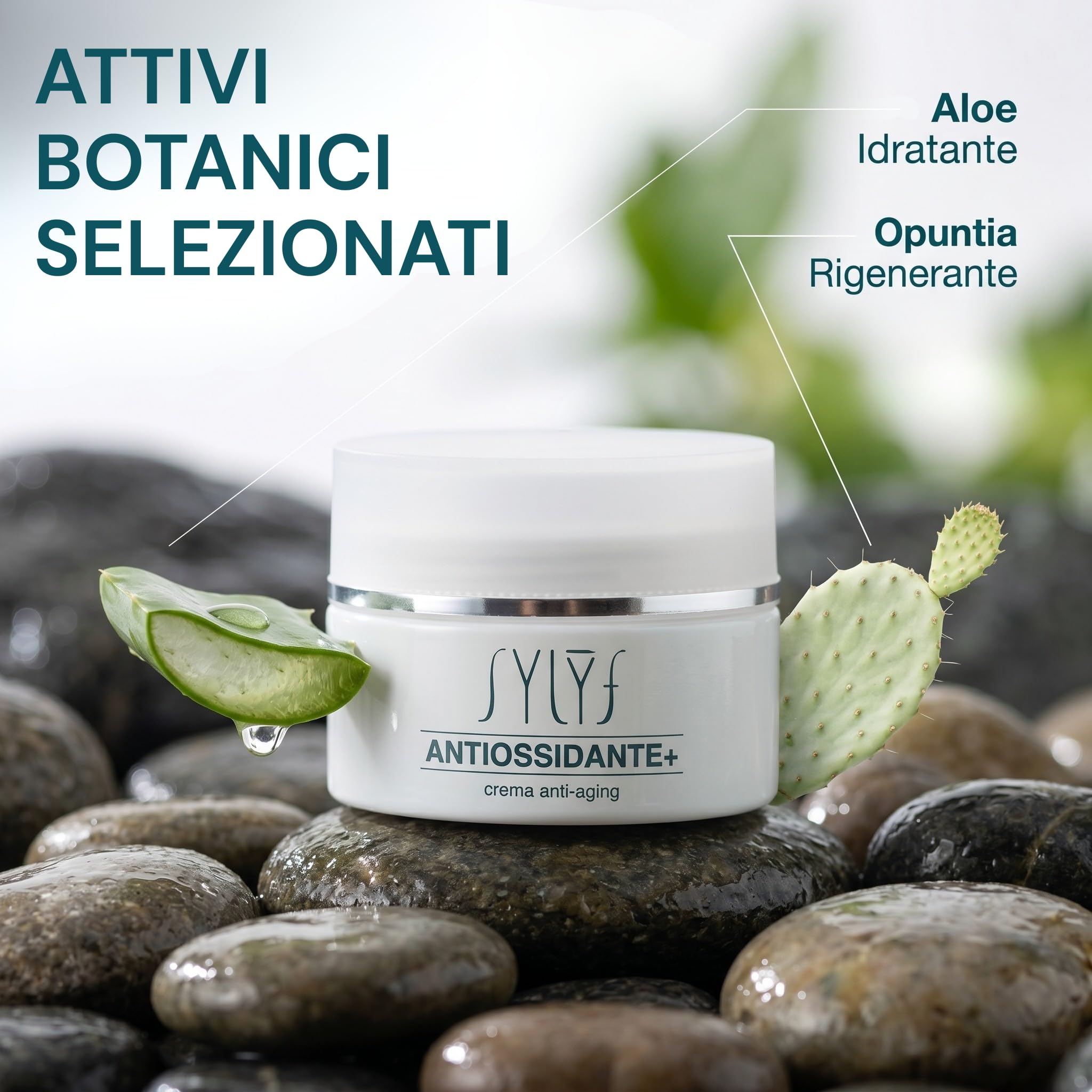 SYLYF Crema Antiossidante+ Crema Viso 24H | Idratante e Antiossidante | Pelle Idratata e Protetta | Base Make-Up | Tutti i Tipi di Pelle | 40 ml