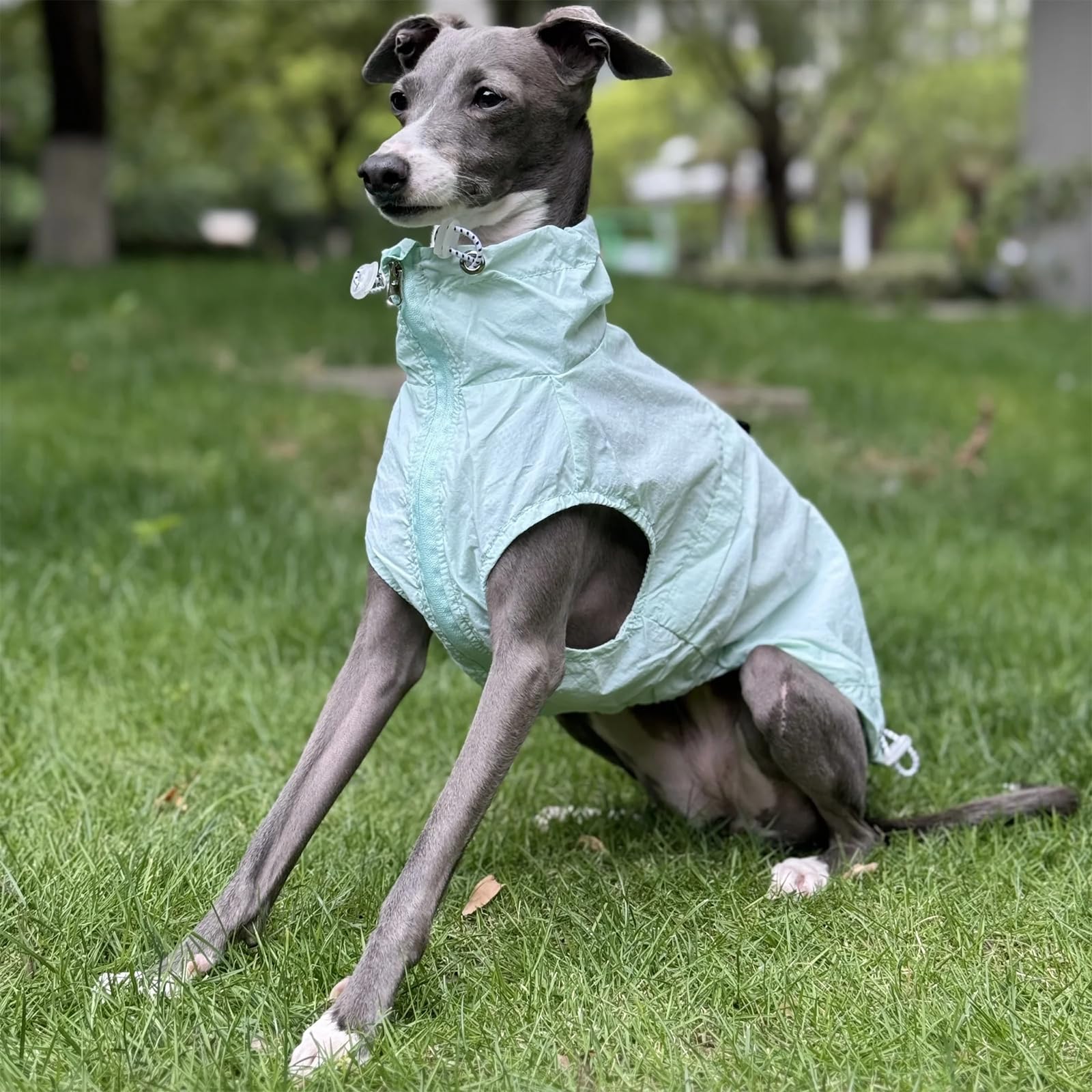 Sonnenschutz Hund Shirt, Sommer Cool Light Jacke Mit Reißverschluss, Schnelltrocknen Ärmelloses Dünnes T-Shirt Für Greyhound