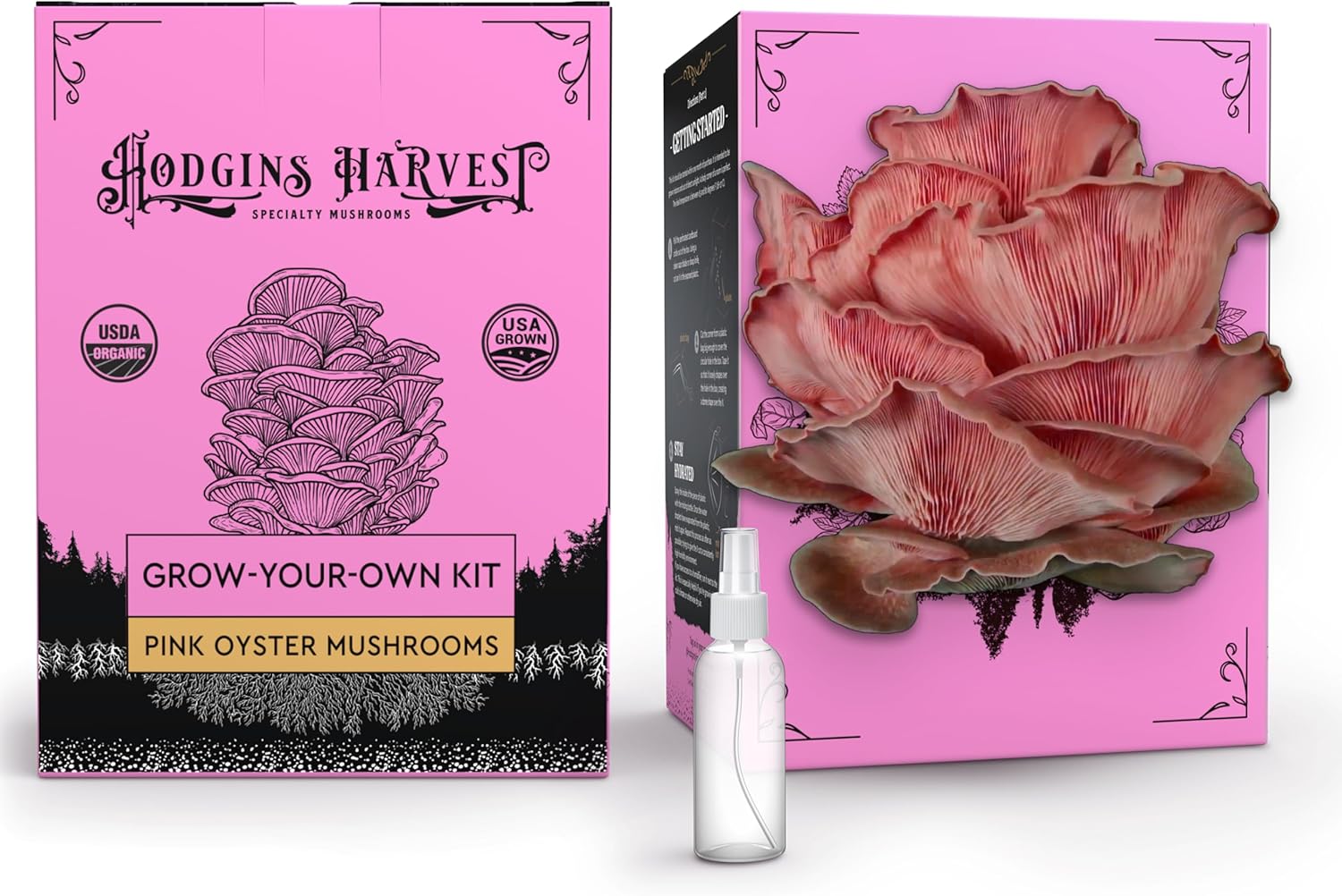 Pink Oyster and Oyster Mushroom Bundle - Buy 2 and Save