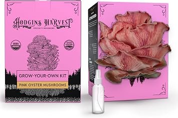 Pink Oyster Mushroom Grow Kit 4lbs | USDA Certified Organic | Grow Your Own Delicious Gourmet Mushrooms at Home