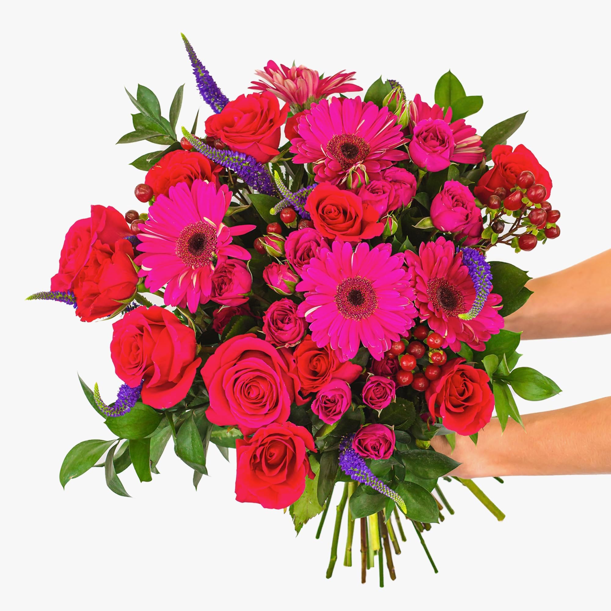 BloomsyBoxFarm-Fresh Berry Blooms, Fuchsia Design, Care Card, Flower Food, Lush Greenery, Flower Delivery, Birthday Flowers, Anniversary Flowers, Wedding Flowers