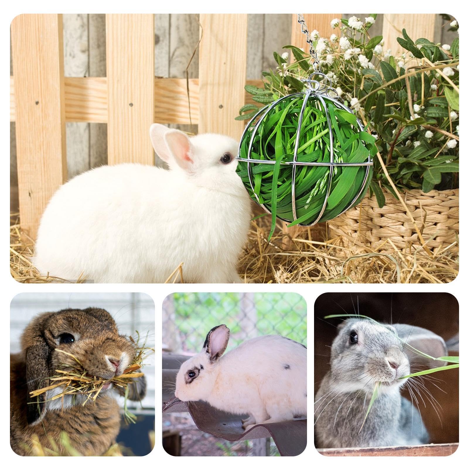 Bunny hooihouder, hooihouder voor konijnenkooi, kauwspeelgoed