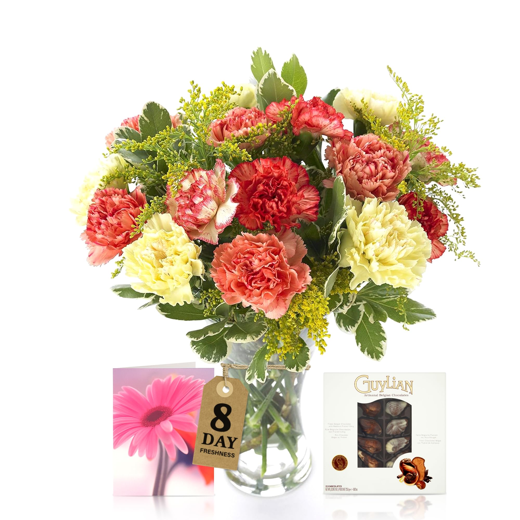Sendabunch Mixed Carnation Bouquet, 24 Fresh Stems | Luxury Flowers with Greenery, Belgian Chocolates & Gift Message Card