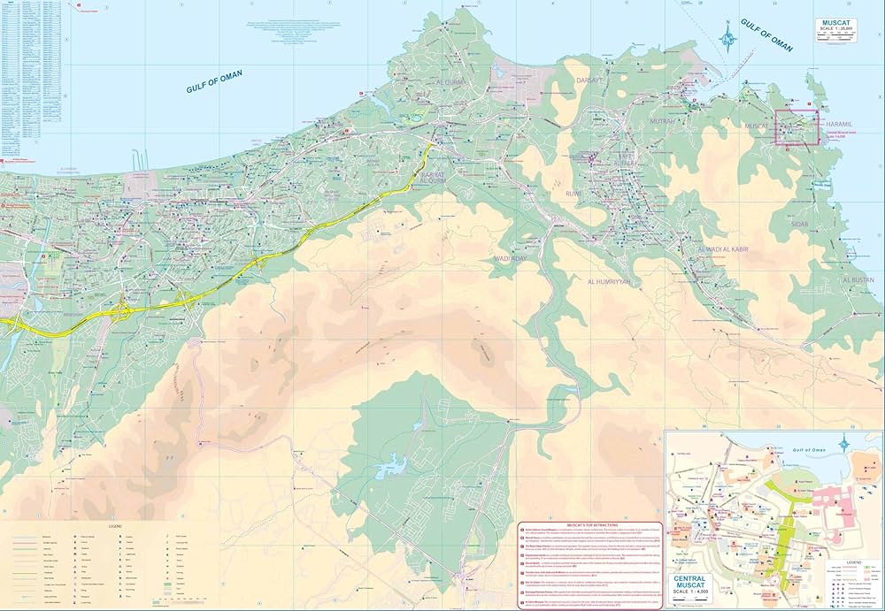 muscatページ バイカラー クルーネックセーター [全3色] – muta Online Store