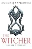 Time of Contempt: The bestselling novel which inspired season 3 of Netflix’s The Witcher Kağıt Kapak – 1 Haziran 2023