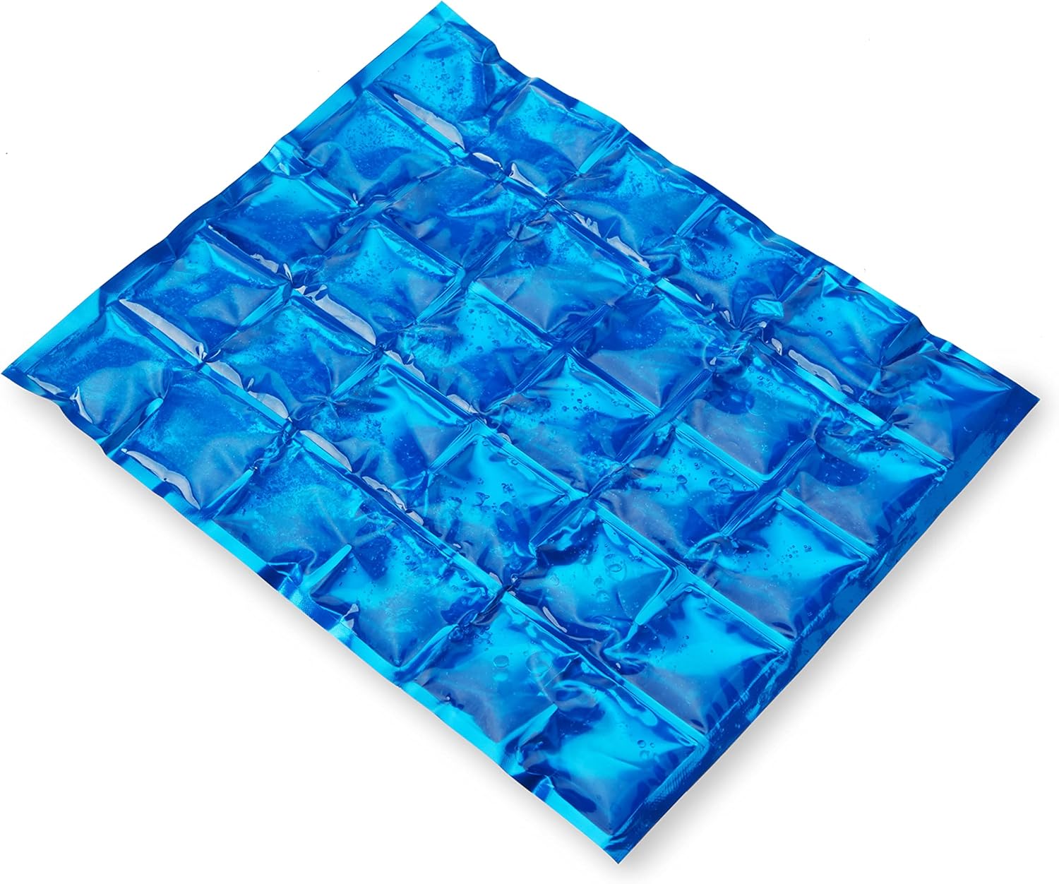 True Reusable Long Lasting Ice Packs for Lunch Boxes, Food, Freezer, Drinks, Cooler, Camping, Picnic, Beach, Travel, Outdoor Party, Set of 1, Blue