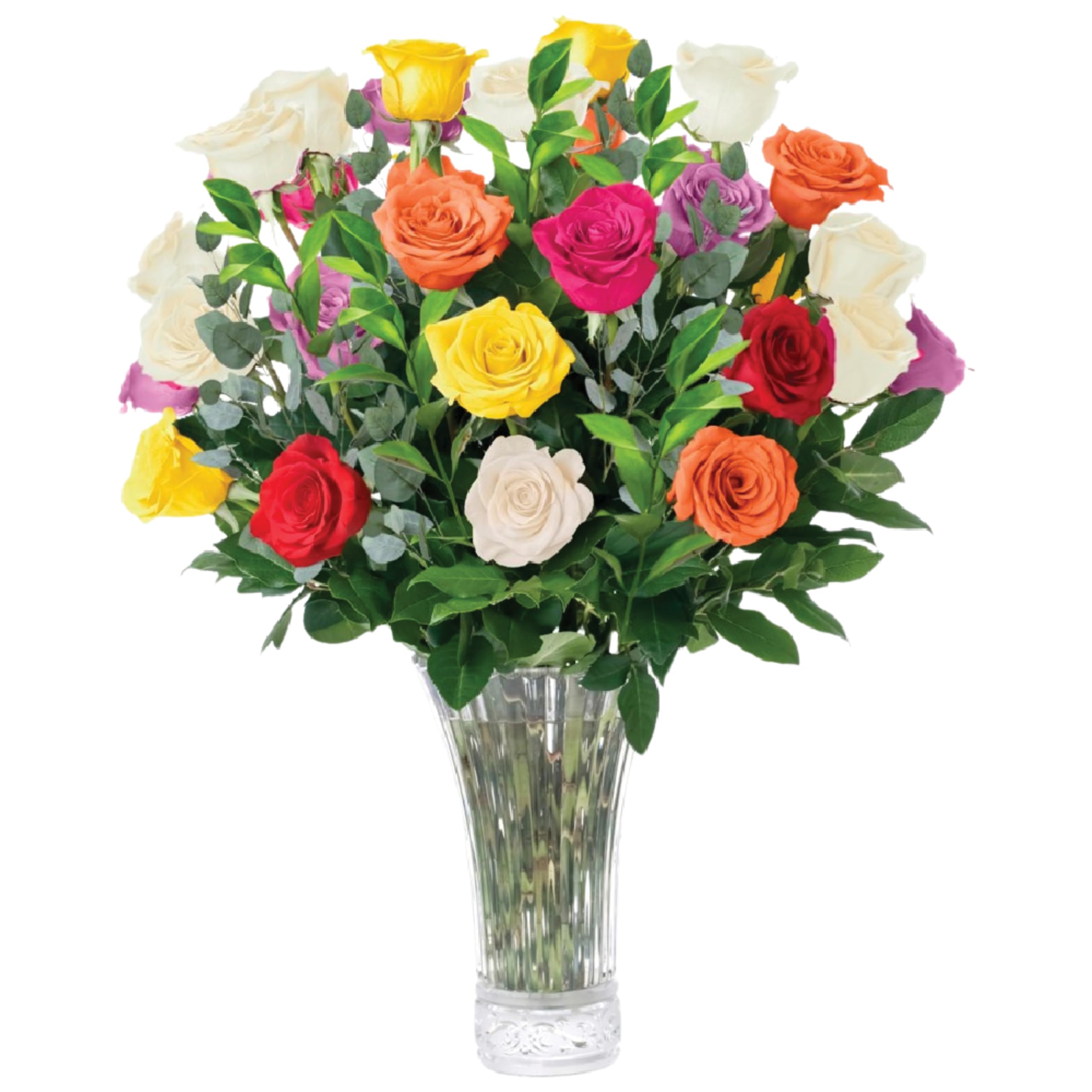 Aquarossa Farms 24 Roses