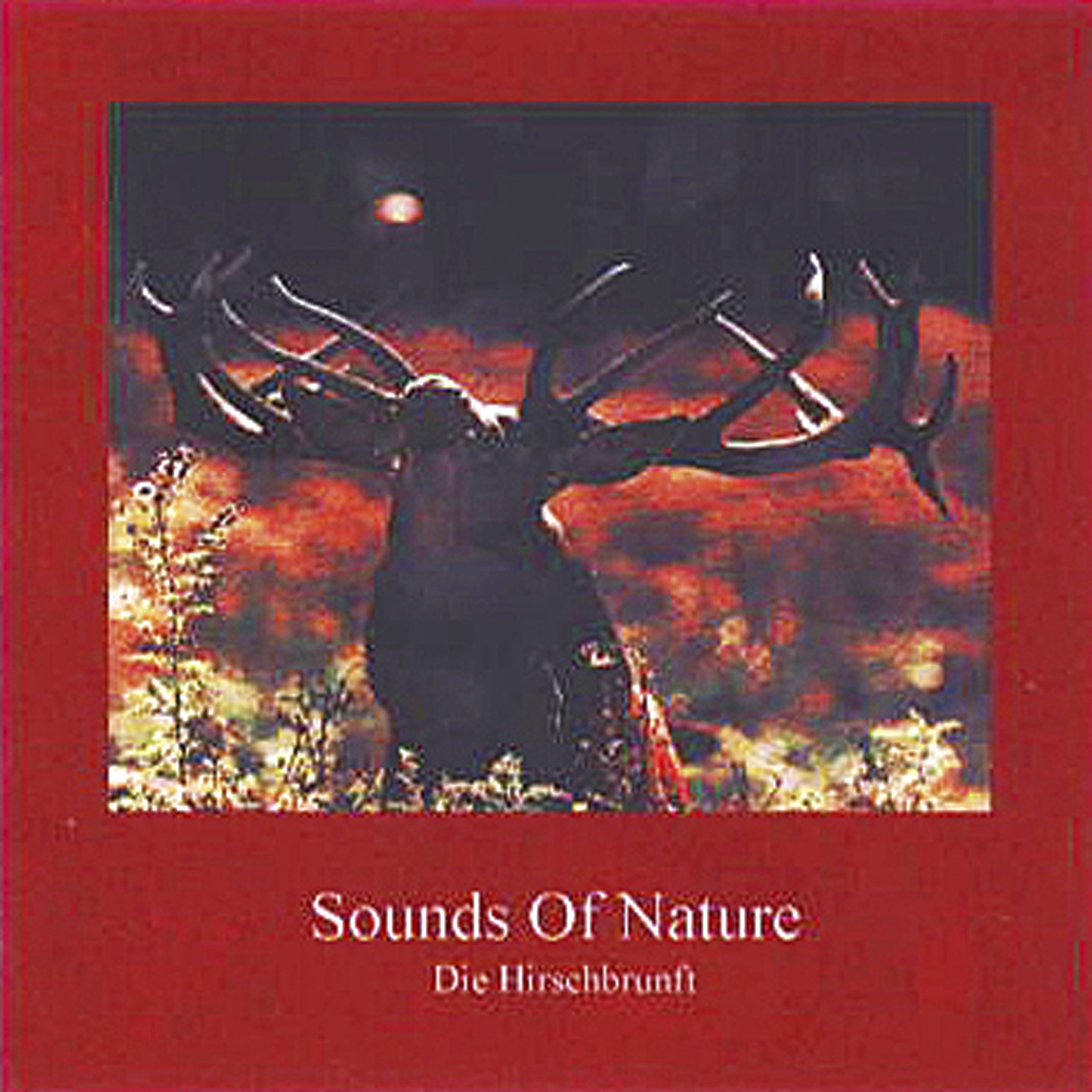 Sounds Of Nature - Die Hirschbrunft
