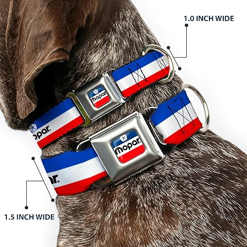Miniatura 2 de Buckle-Down Collar para perro, hebilla para cinturón de seguridad, logotipo de Mopar, rayas, azul, blanco, rojo, 16 a 23 pulgadas, 1.5 pulgadas de