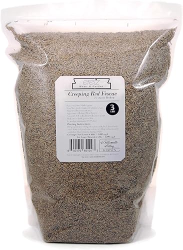 Miniatura 9 de Eretz - Semilla de festuca roja rastrera (1 libra), elige el tamaño. Cultivado en Willamette Valley Oregon, sin rellenos, sin malas hierbas u otras
