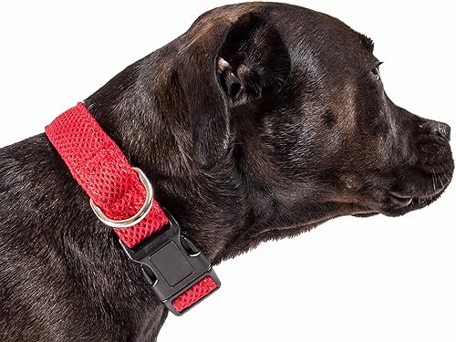 Miniatura 2 de Pet Life  'Aero Mesh' Collar ajustable de doble cara, cómodo y transpirable, collar de malla para perro con anillo de conexión de correa de acero
