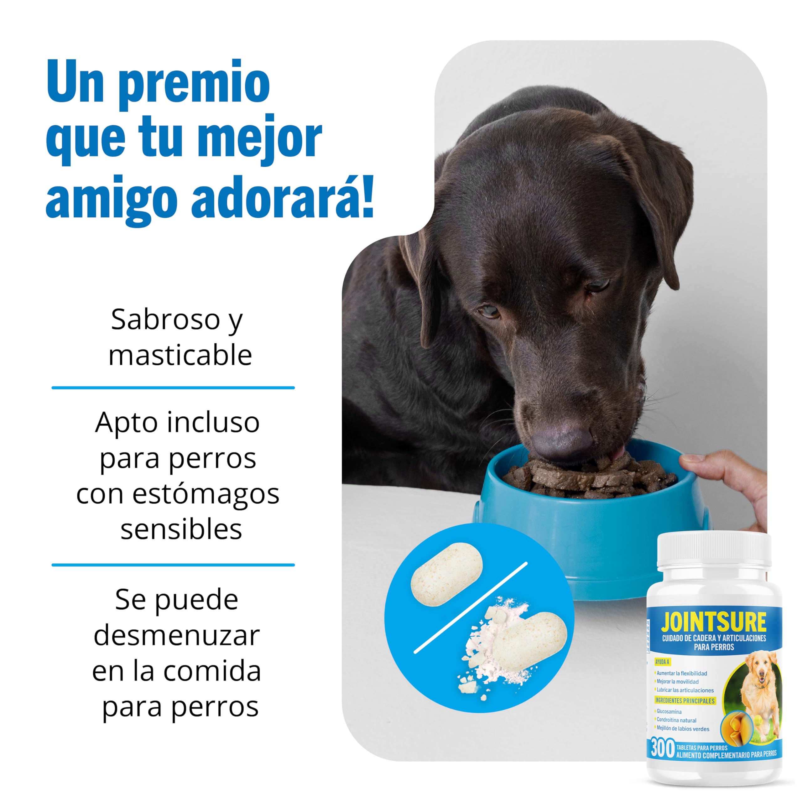 JOINTSURE condroprotector Perros I con Gran concentración de mejillon Labios Verdes, glucosamina y condroitina Natural I suplemento antiinflamatorio para articulaciones I 300 Comprimidos