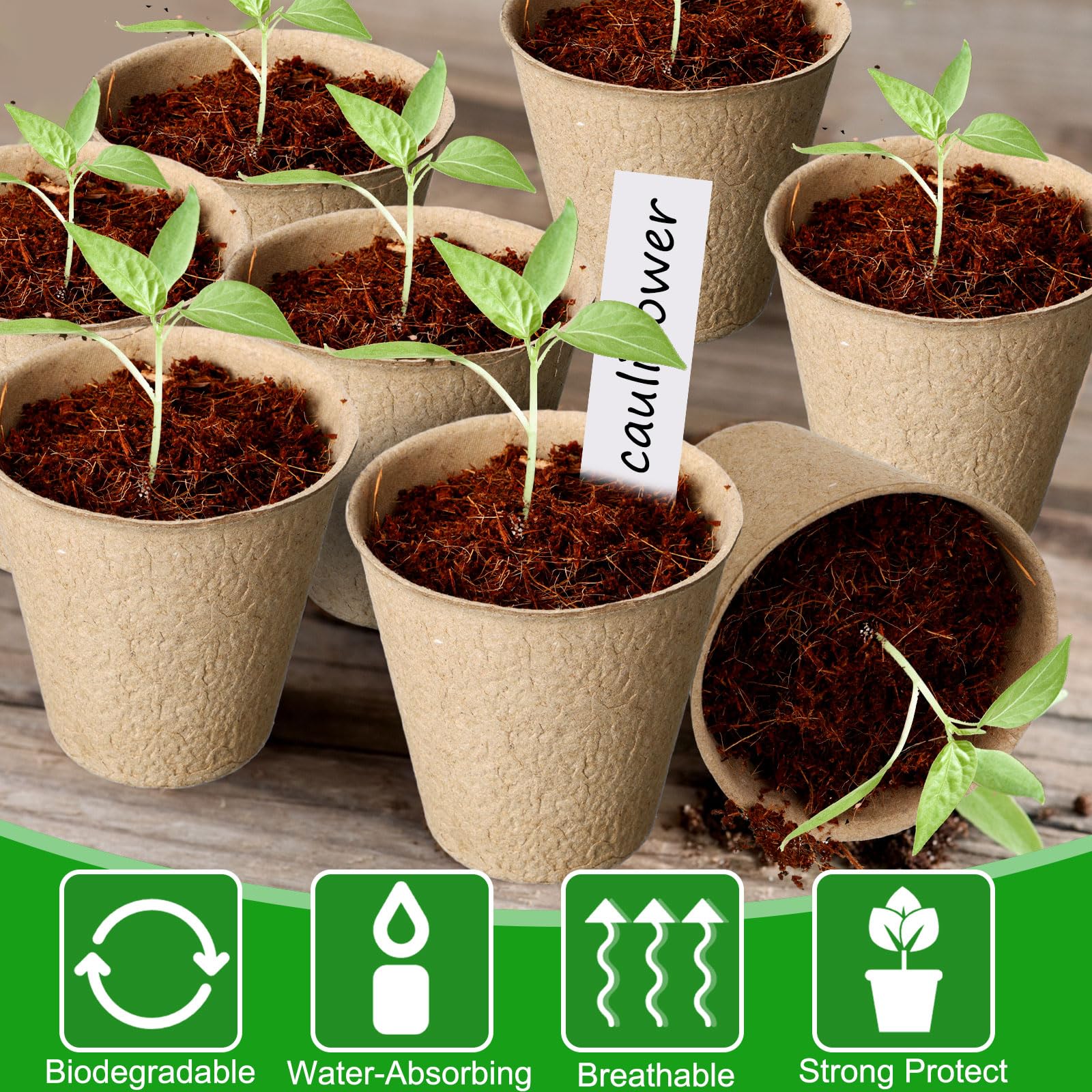 Layhit Lot de 1 000 pots de tourbe de 7,9 cm, kit de démarrage de semis, plateaux de démarrage de semis, pots pour semis avec 1 000 étiquettes pour plantes, 10 outils de transplantation (ronds)