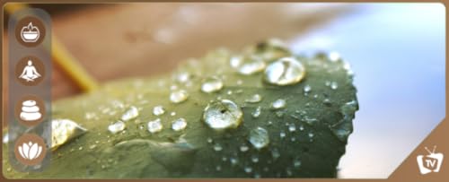 Som da Floresta de Chuva & Natureza: Sons Relaxantes da Floresta de Chuva para Dormir ou Estudar Son
