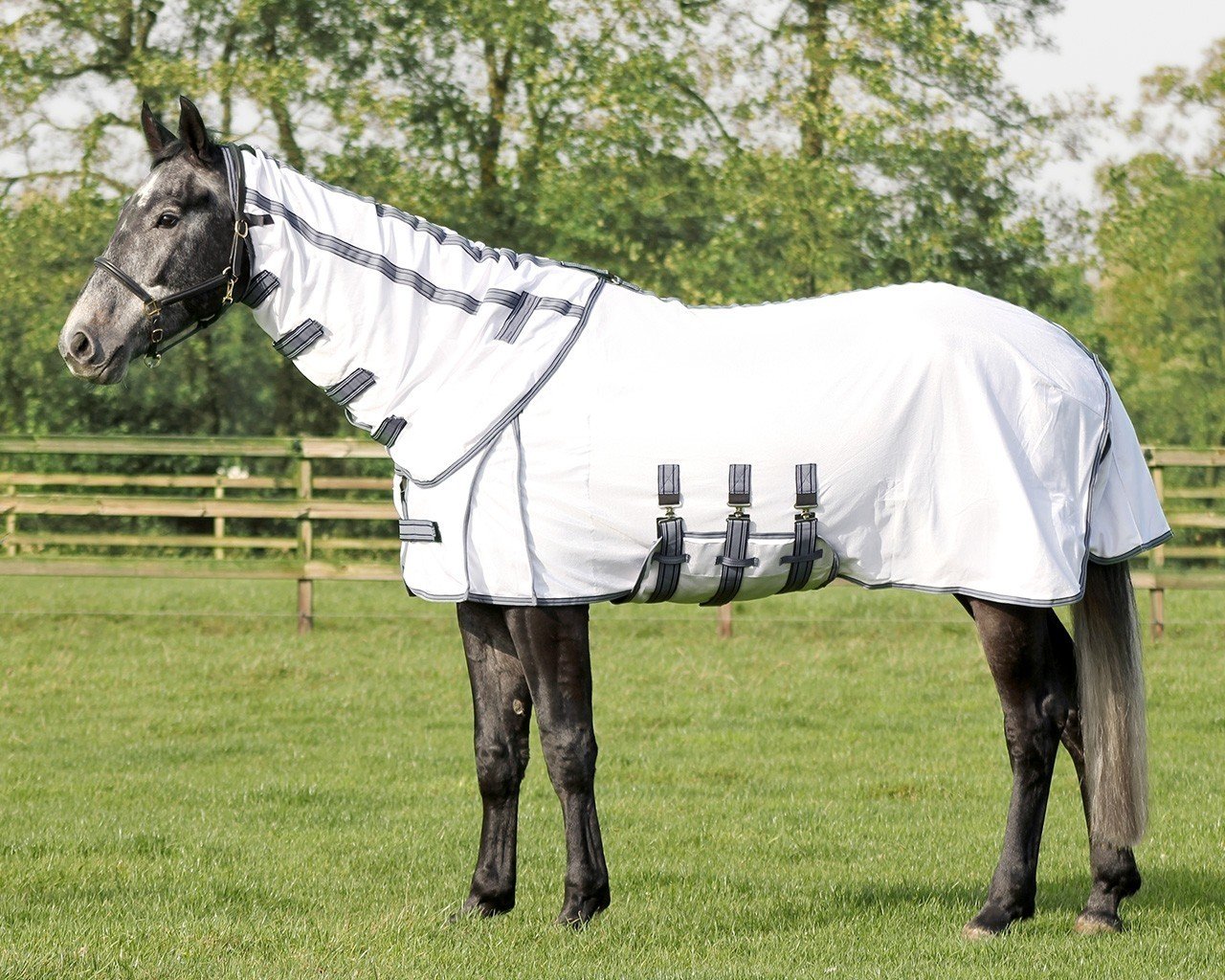 QHP Technical – Manta antimoscas con cuello notebook de material extra resistente, bauc hlatz, gehfalten