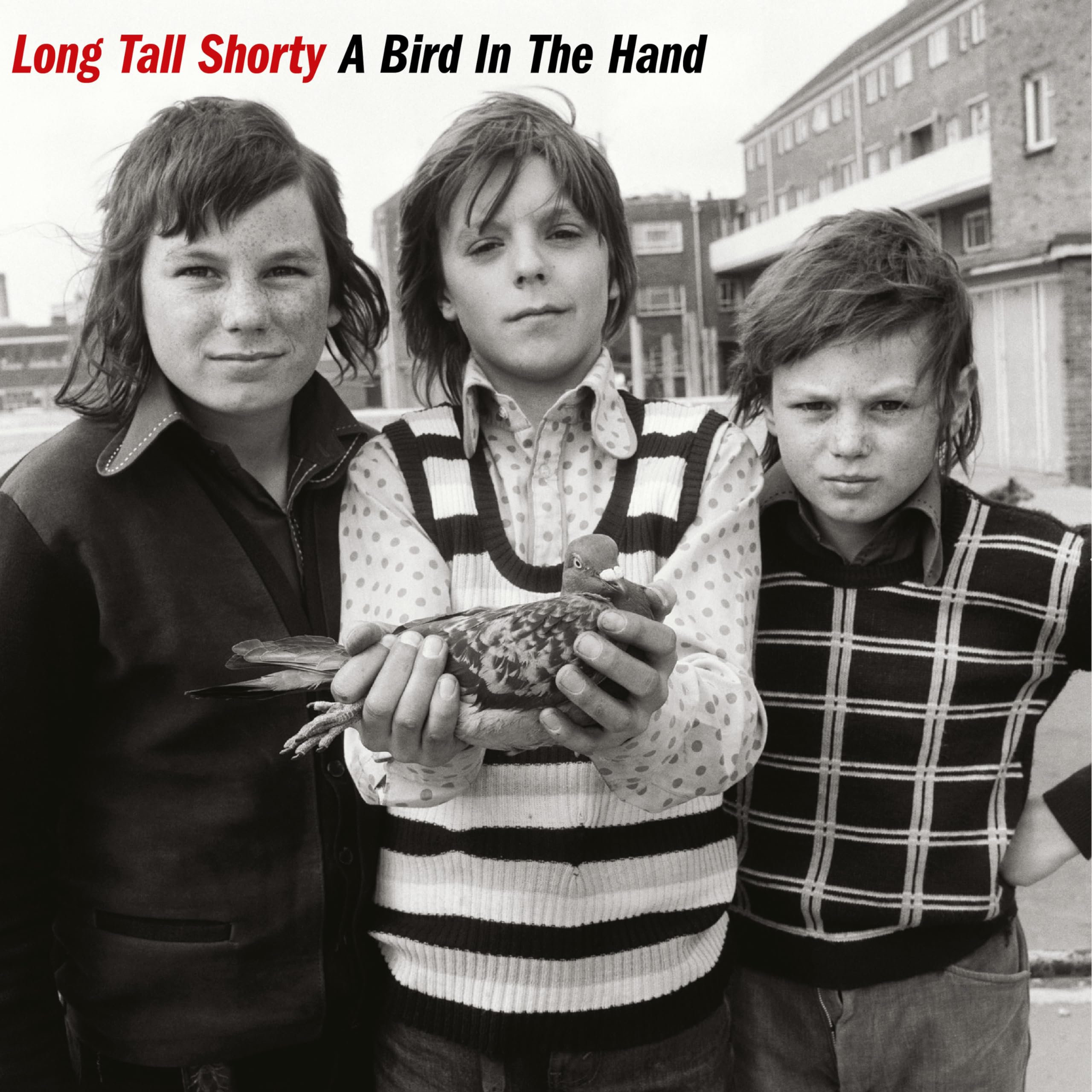 A Bird In The Hand (Red Vinyl) [VINYL]