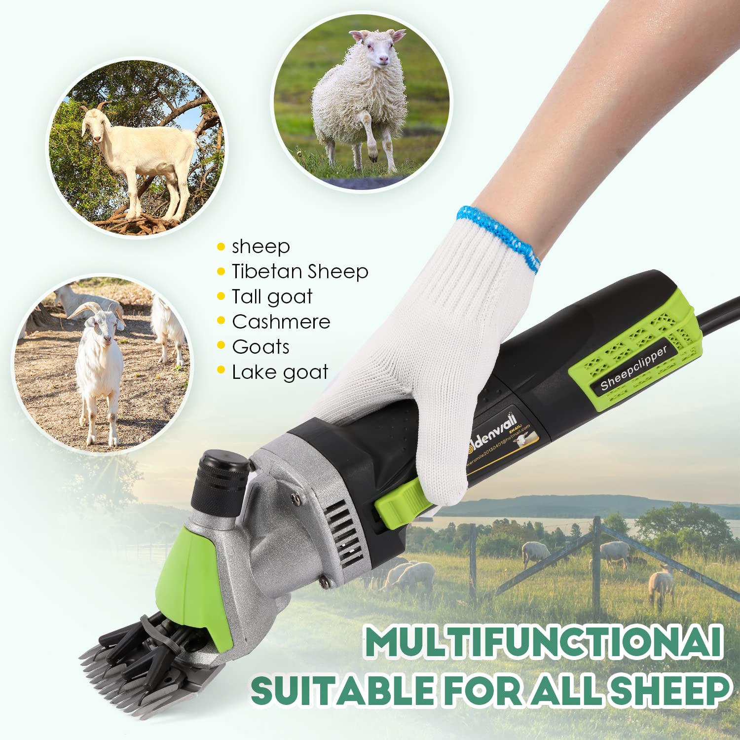 CGOLDENWALL Macchina per Tagliare la Lana di Moutone Elettrica 850W 6 Velocità Regolabile per Mouton Capre Animali a Lana