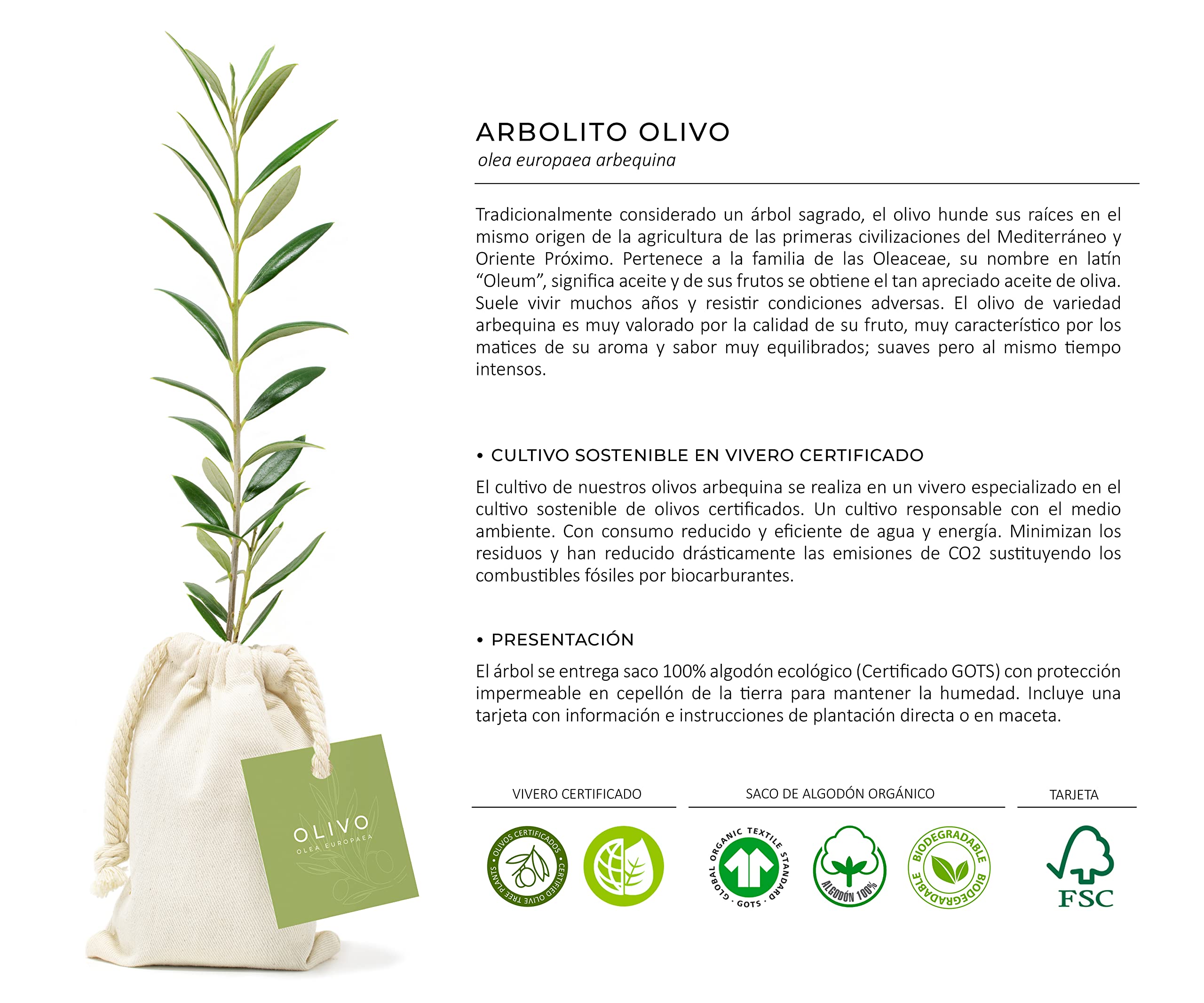 Set Gourmet Regalo Vicalanda Reserva con árbol olivo natural para plantar y vino tinto Rioja – Estuche vino regalo – Regalos originales y naturales